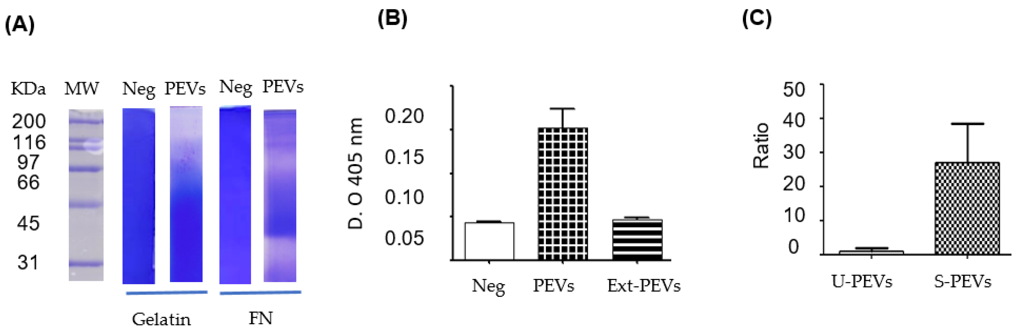 Preprints 177235 g003