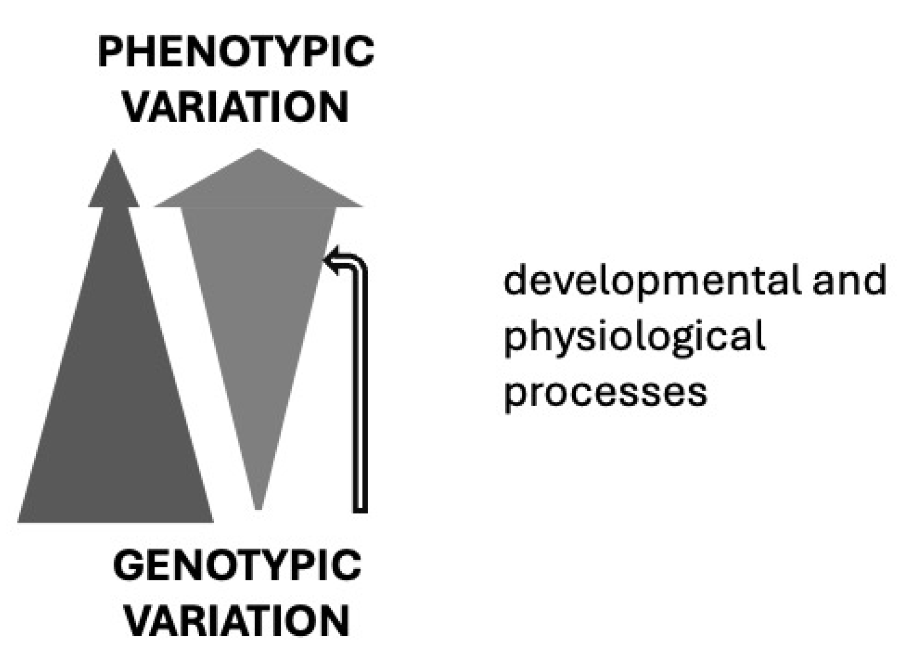 Preprints 183275 g001