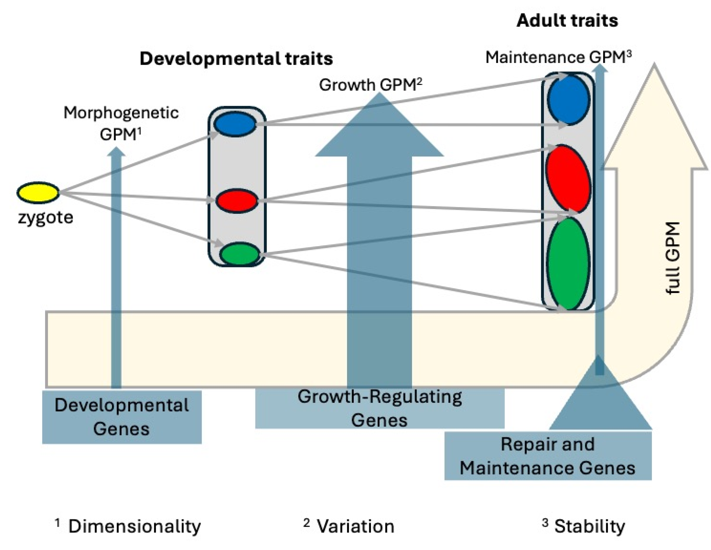 Preprints 183275 g002