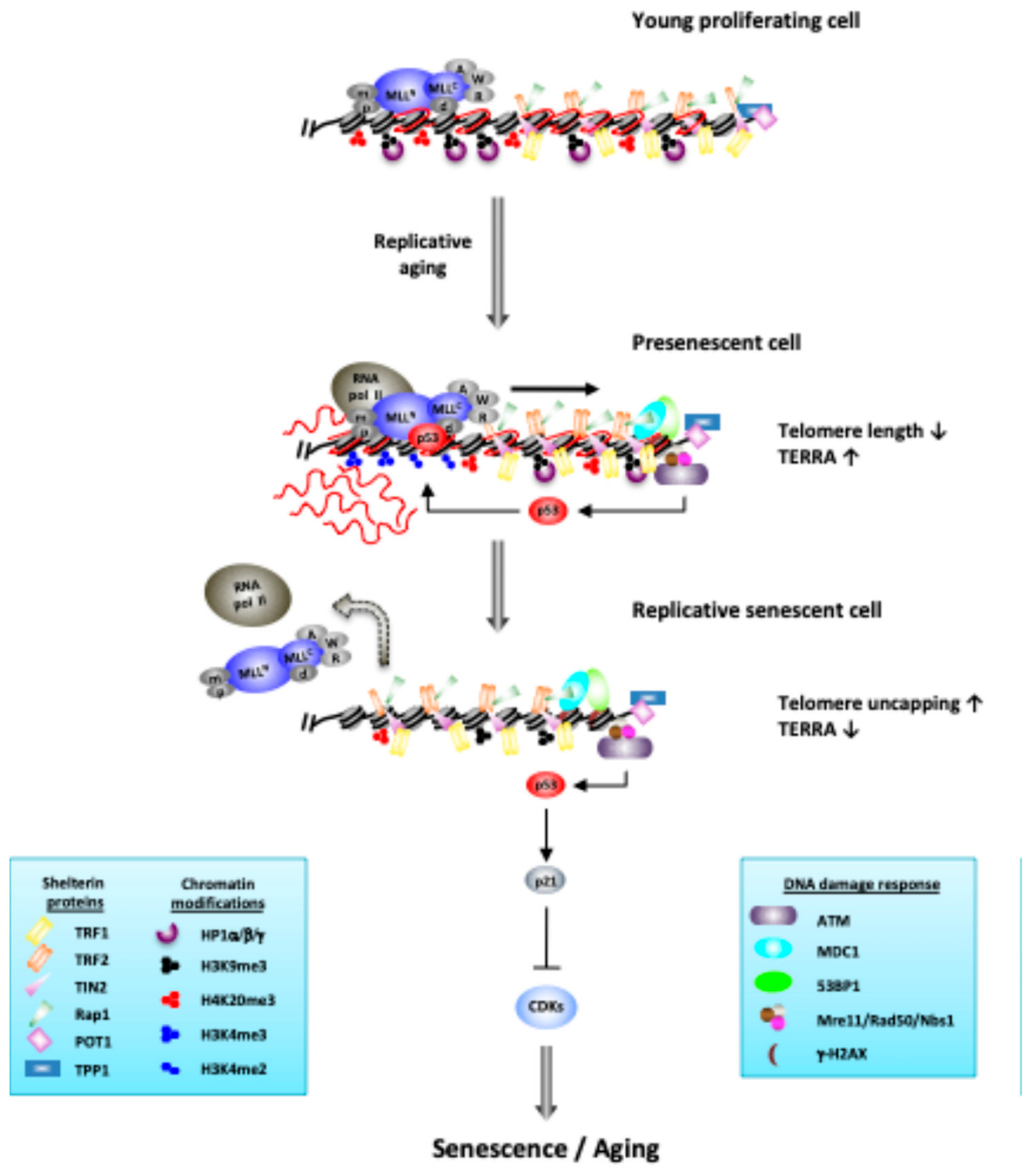 Preprints 220475 g001 Preprints 220475 g001