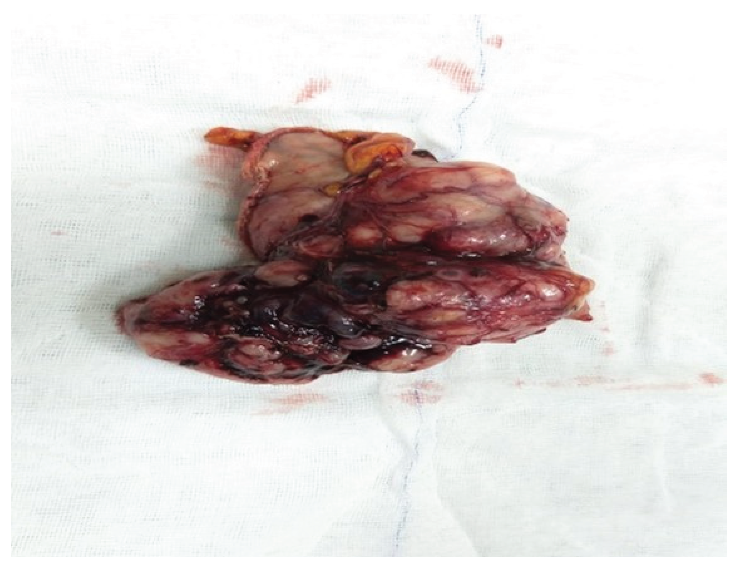 Preprints 170754 g003