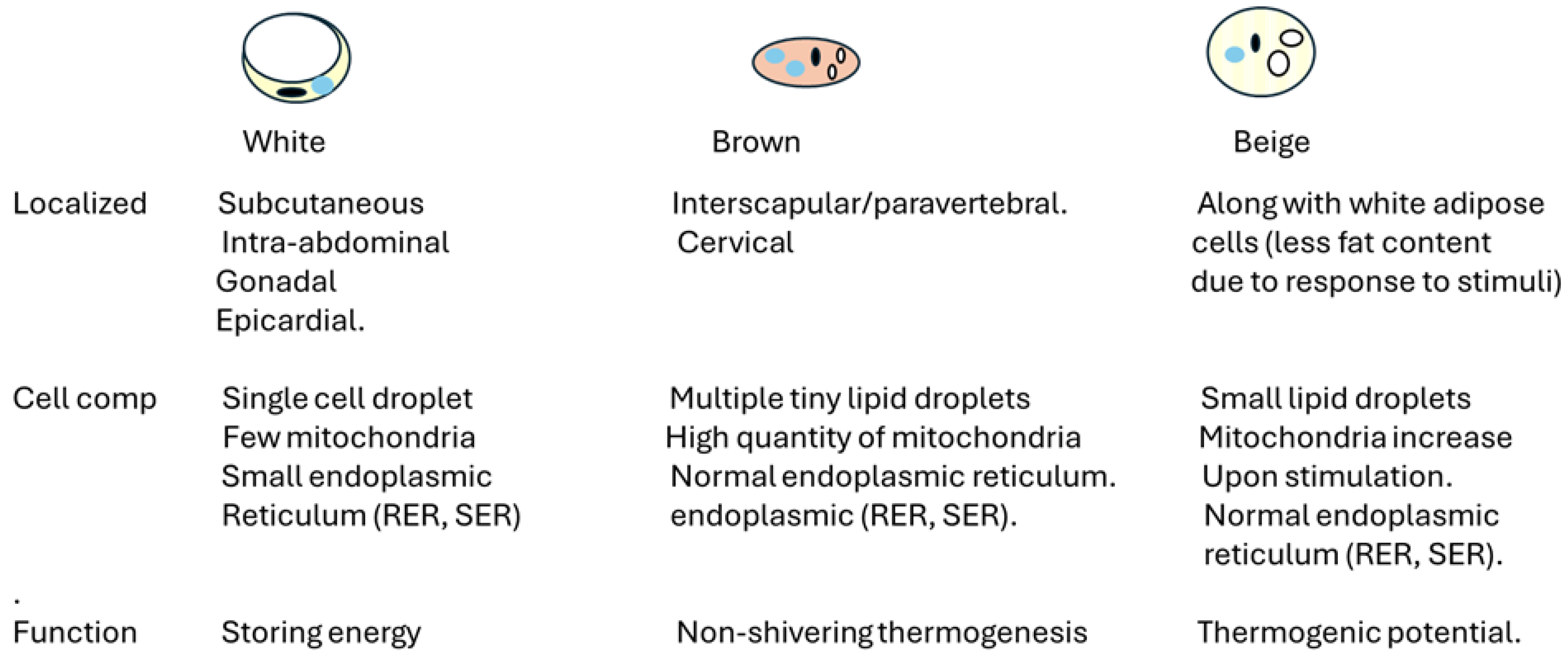 Preprints 143354 g001