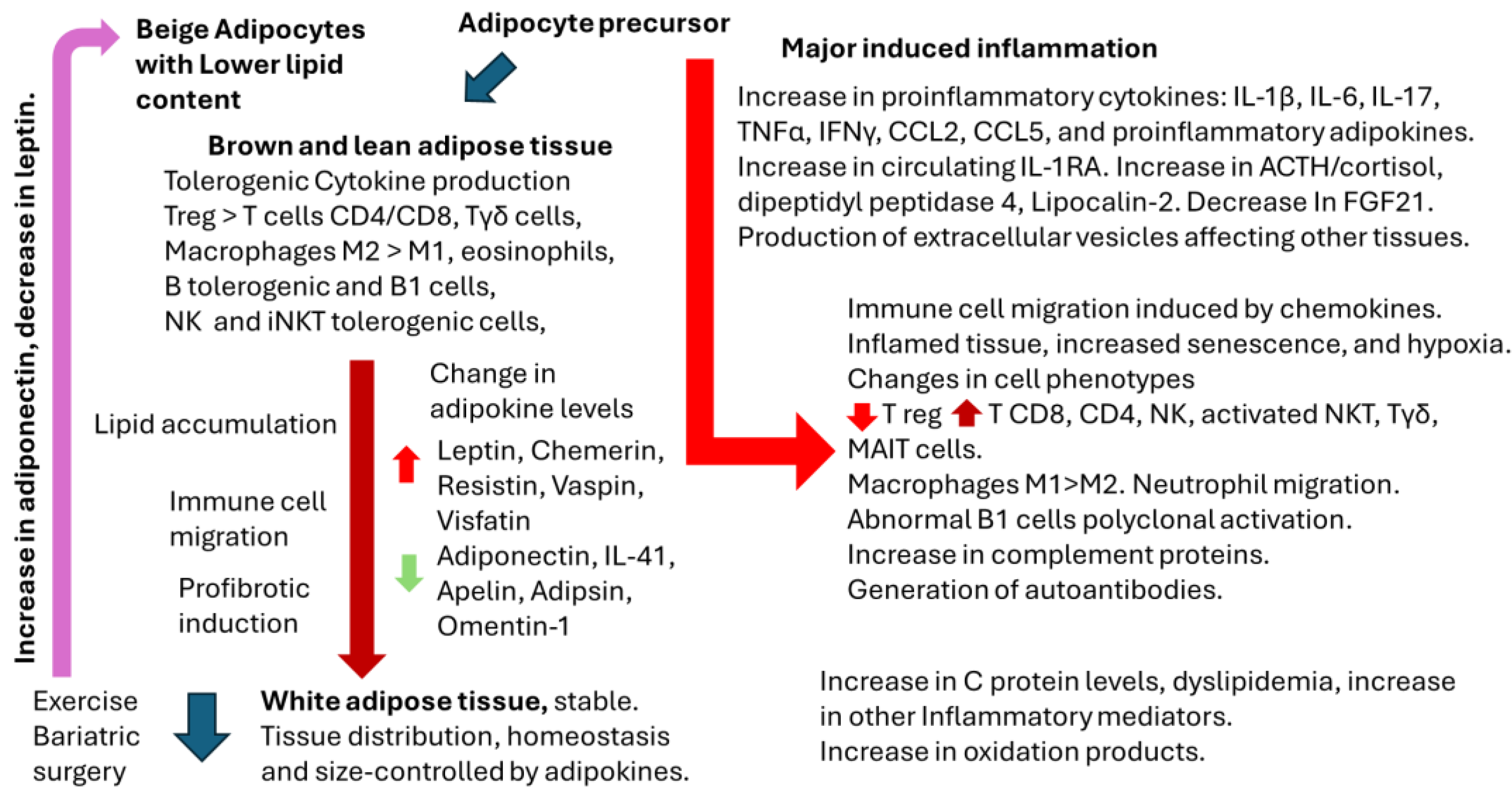 Preprints 143354 g003