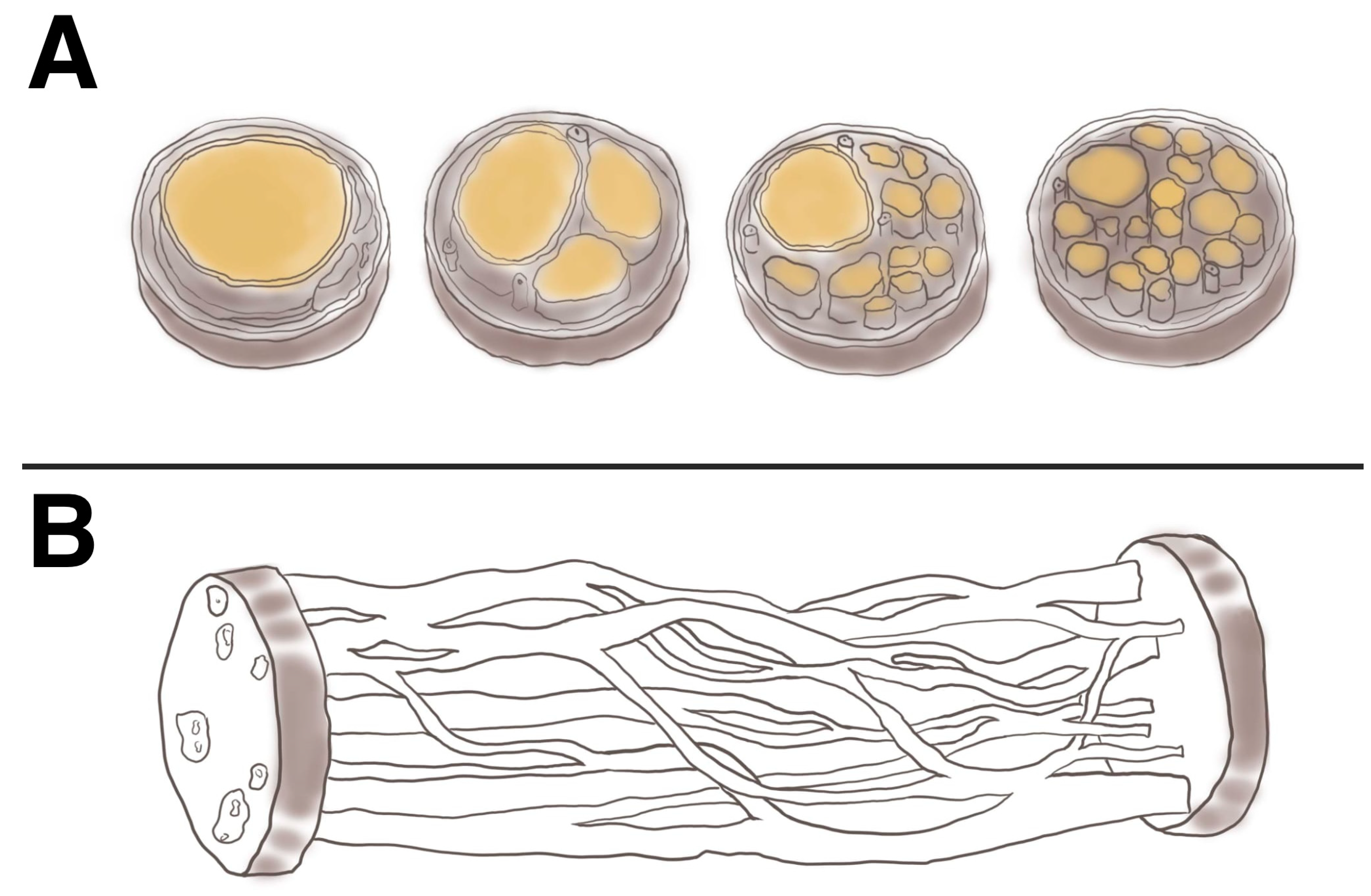Preprints 143794 g001