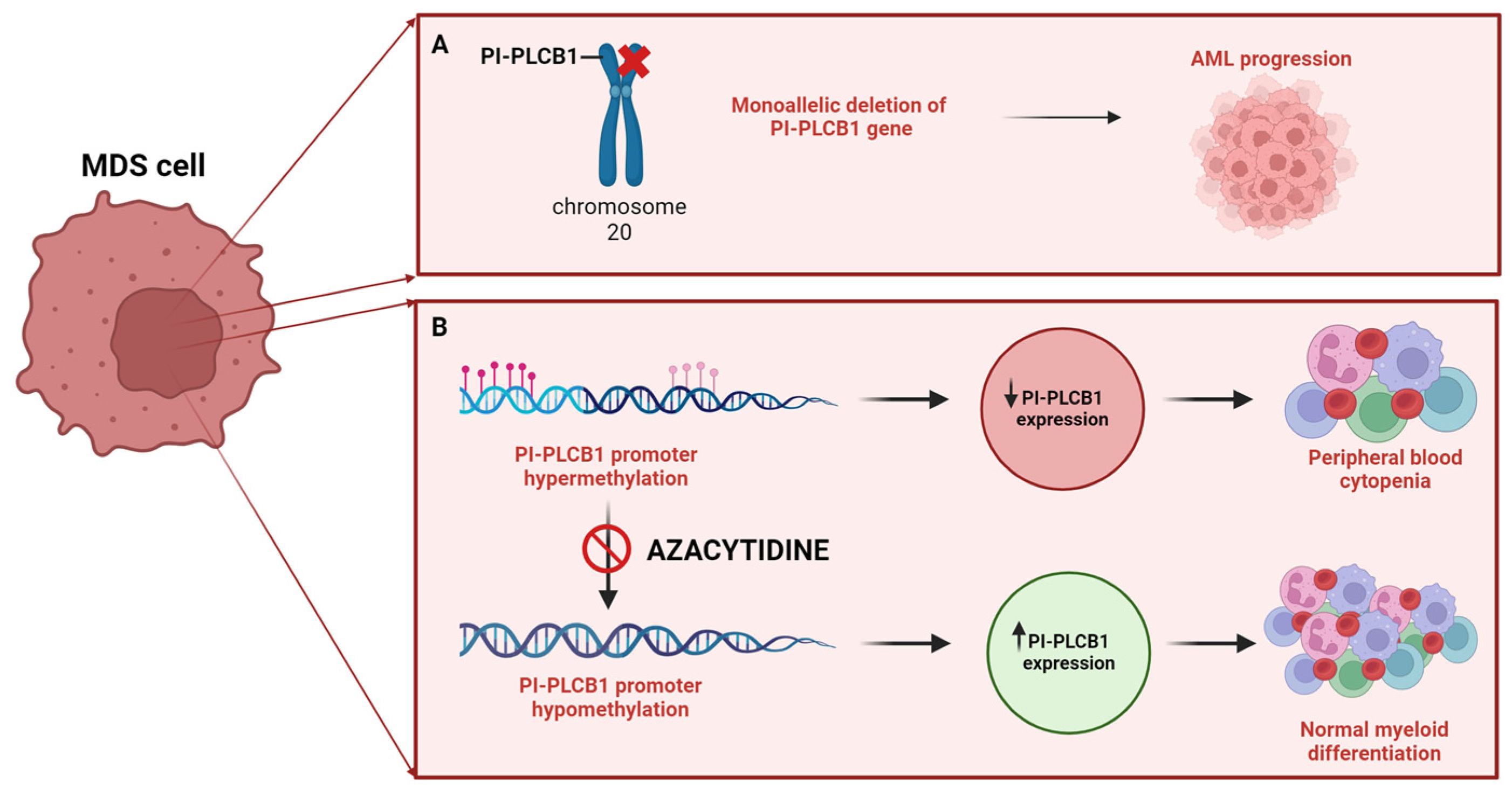 Preprints 102431 g001