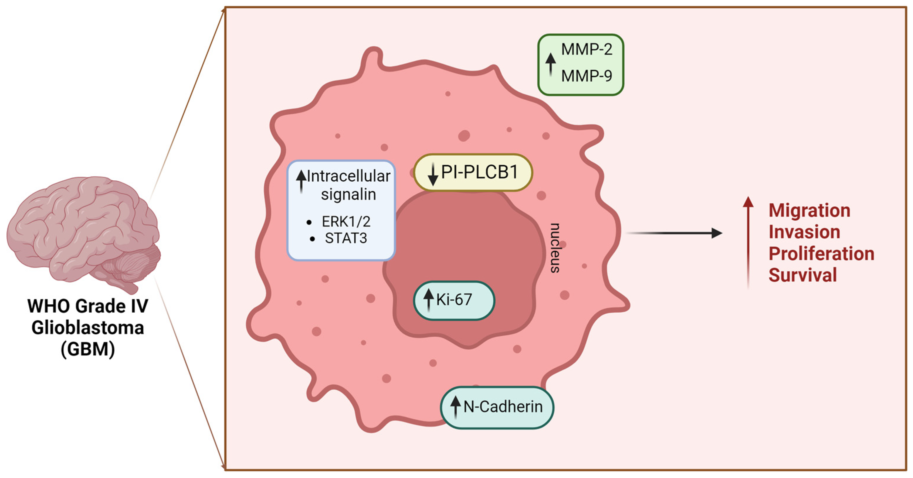 Preprints 102431 g003