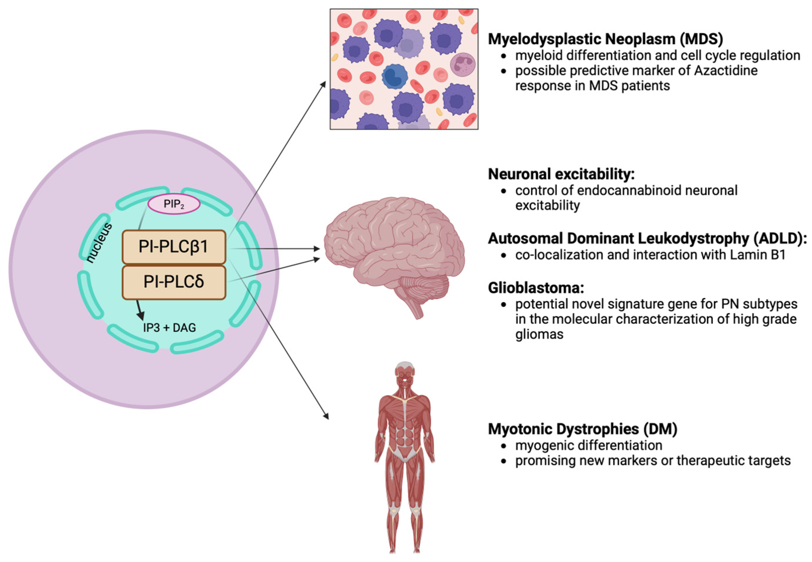 Preprints 102431 g004