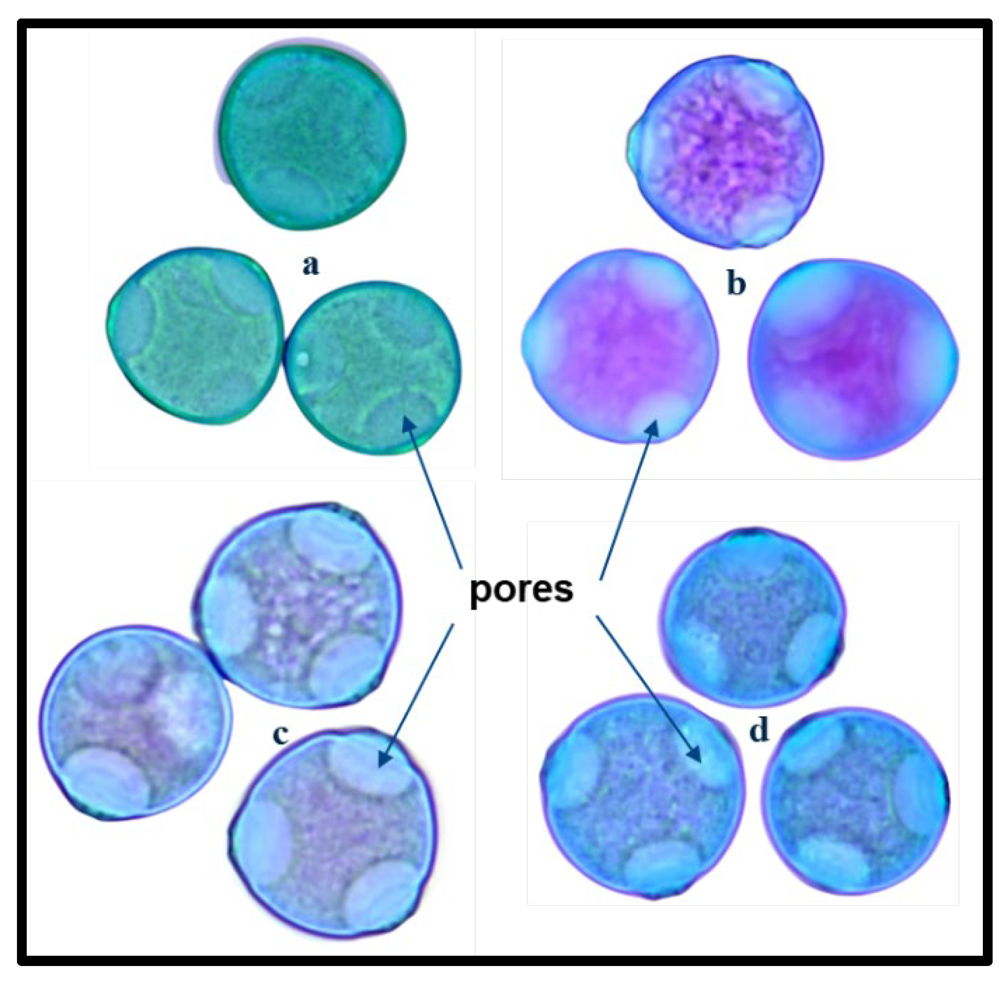 Preprints 150105 g005