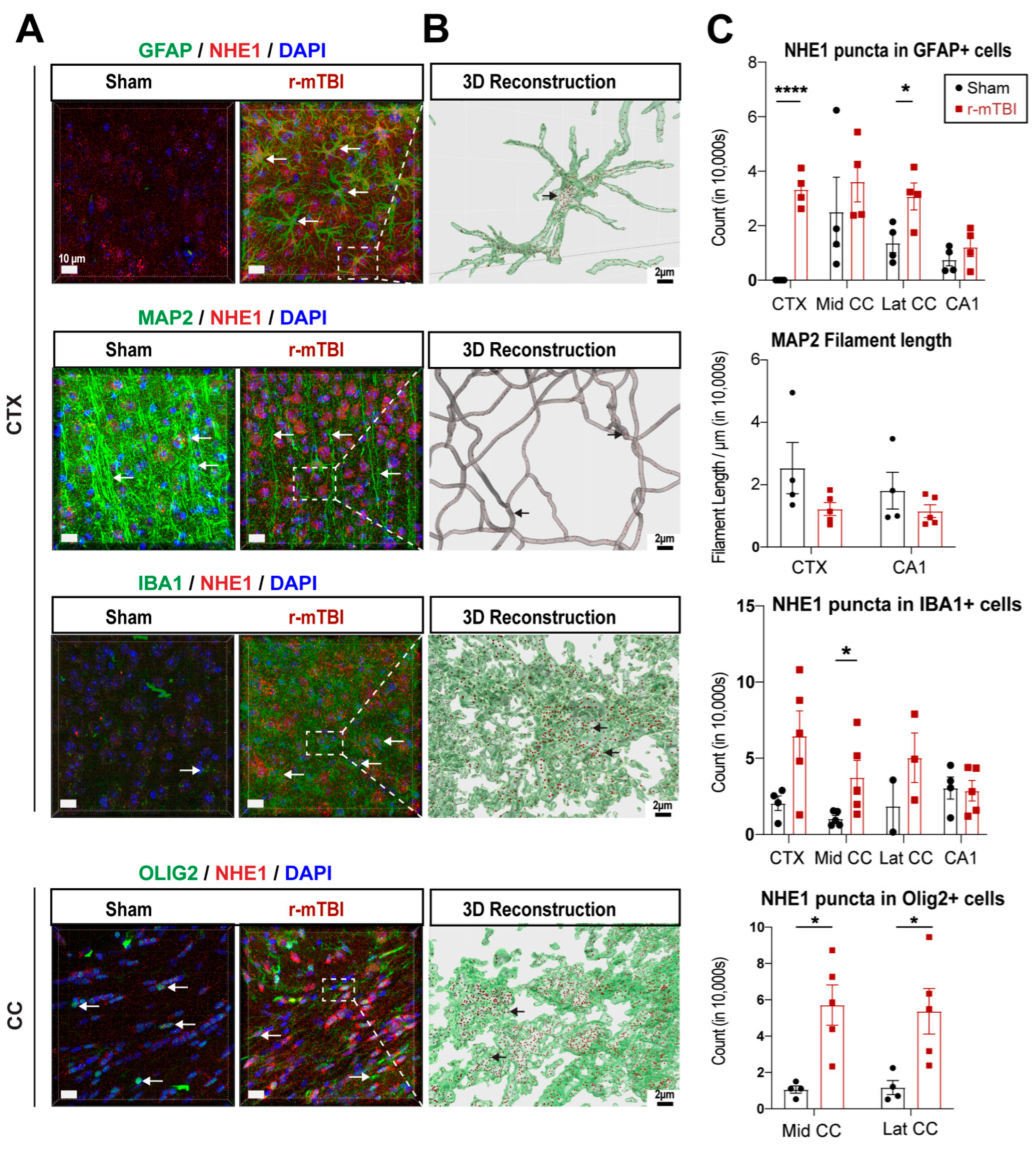 Preprints 104415 g003