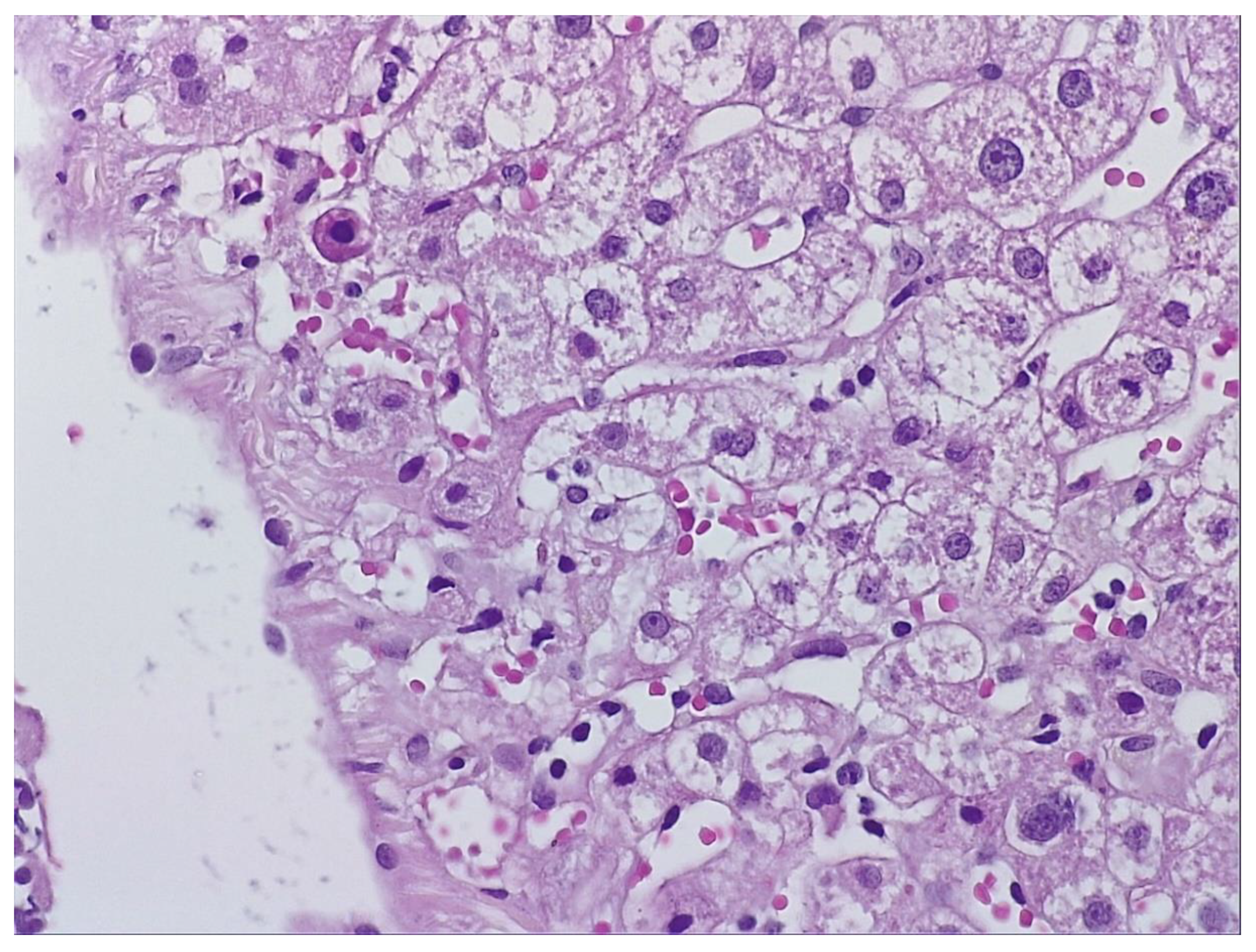 Preprints 189925 g001