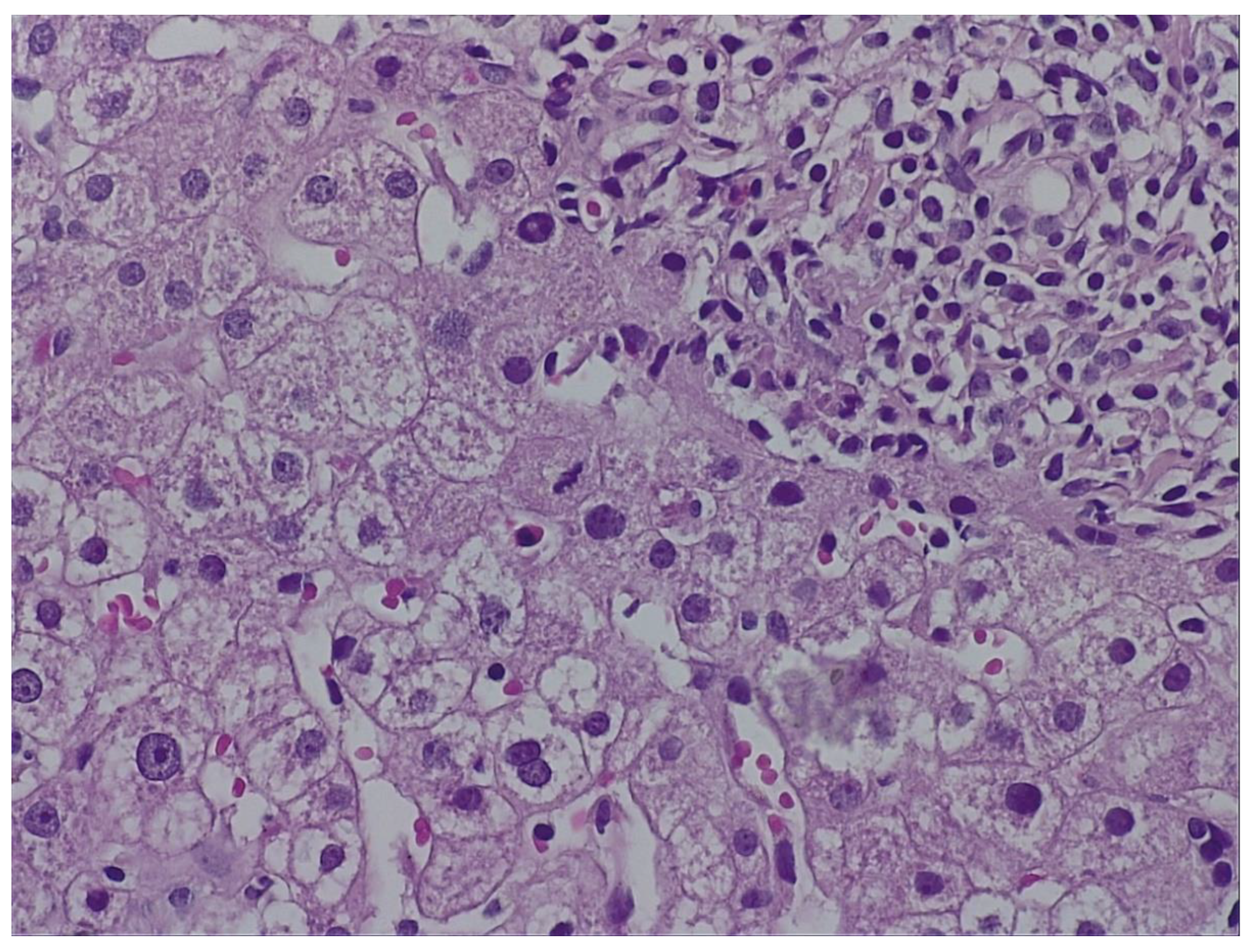 Preprints 189925 g002