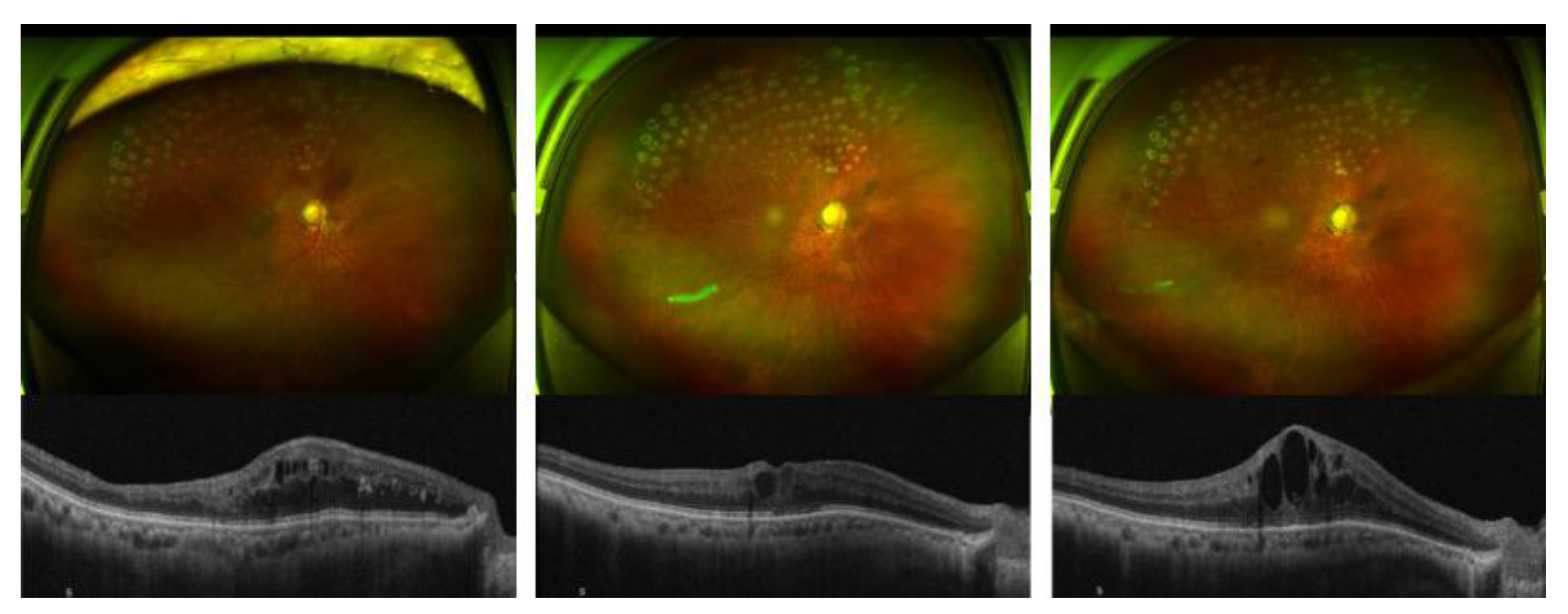 Preprints 195119 g001