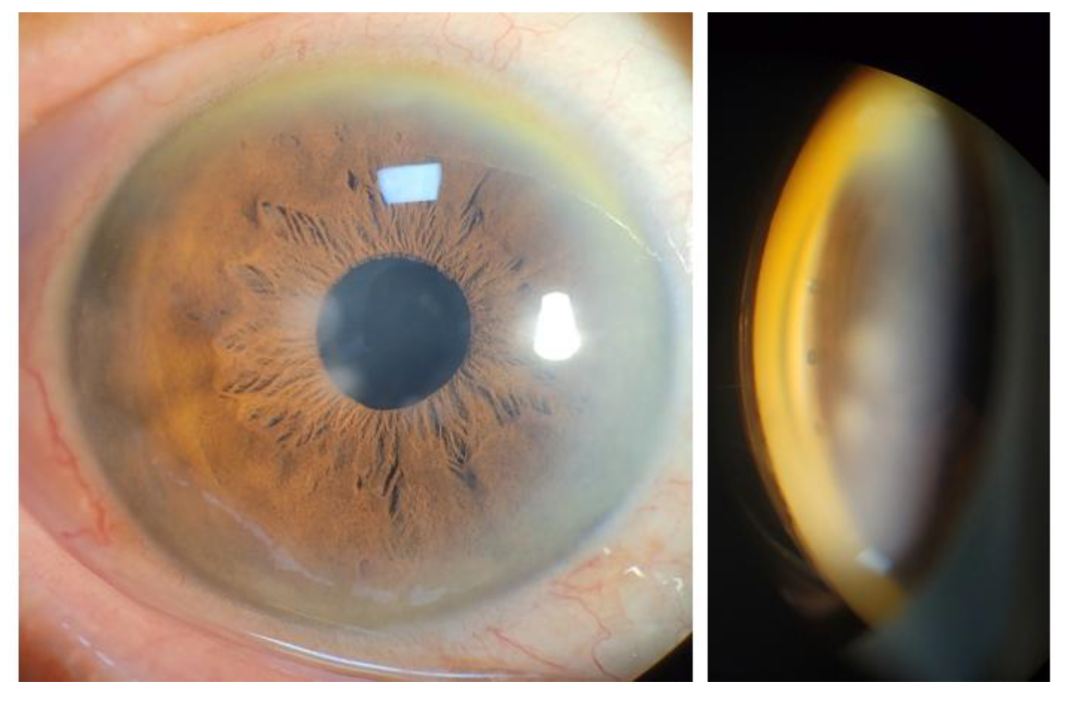 Preprints 195119 g003