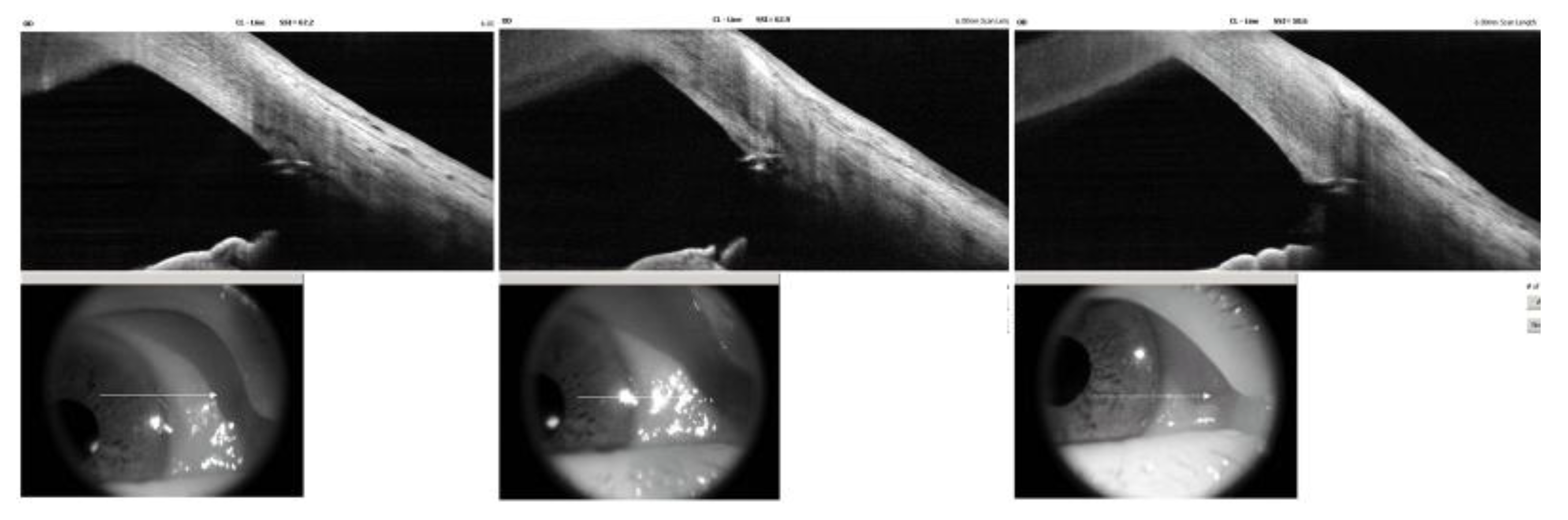 Preprints 195119 g004