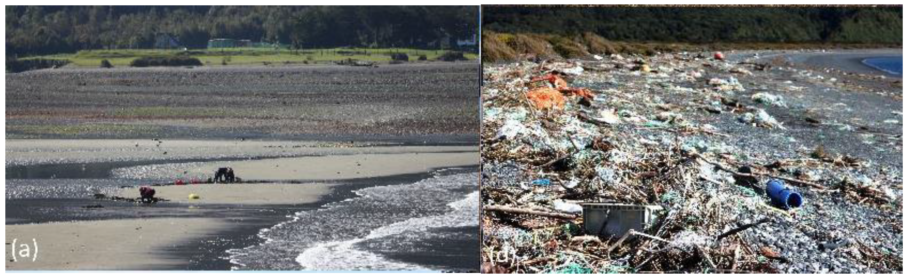 Preprints 182548 g002