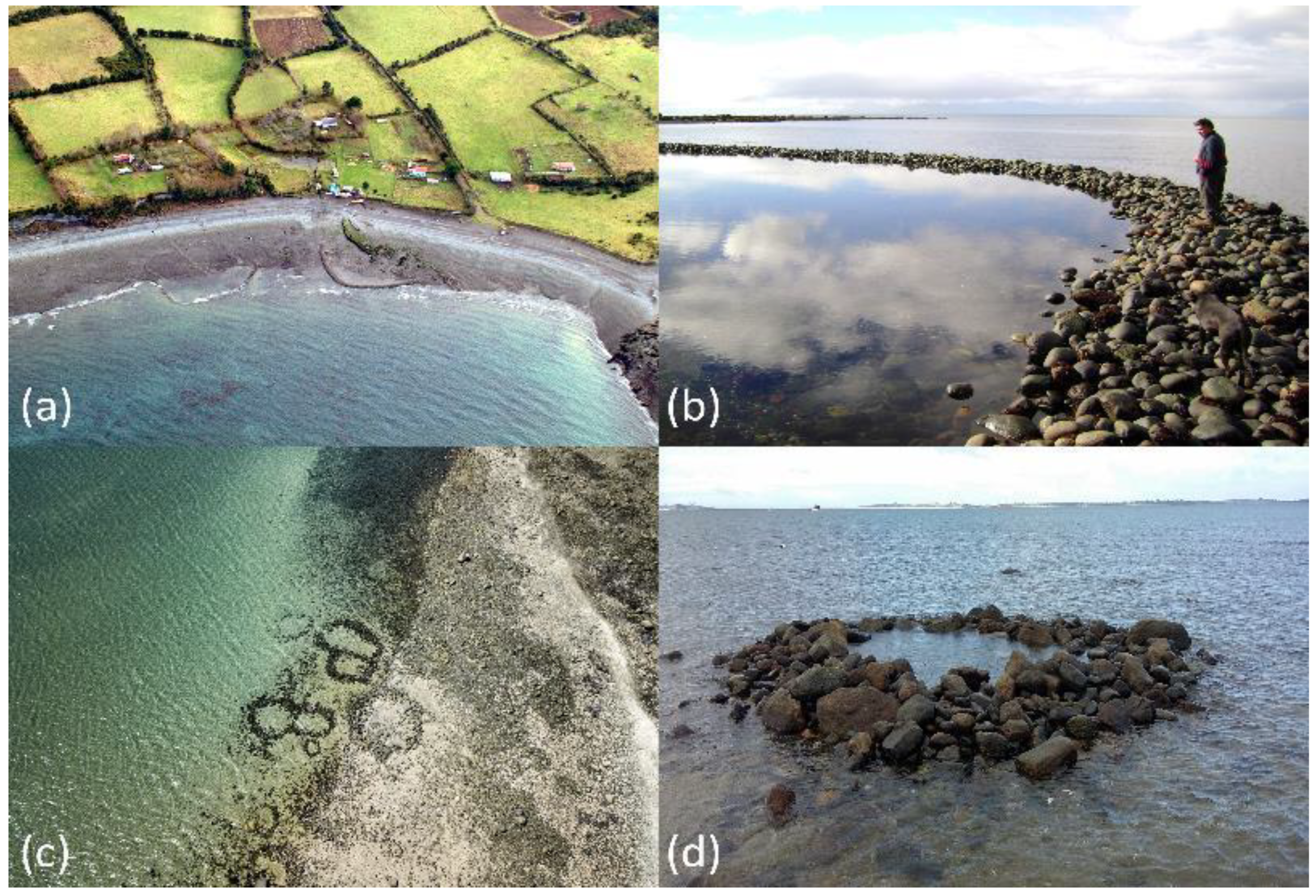 Preprints 182548 g003