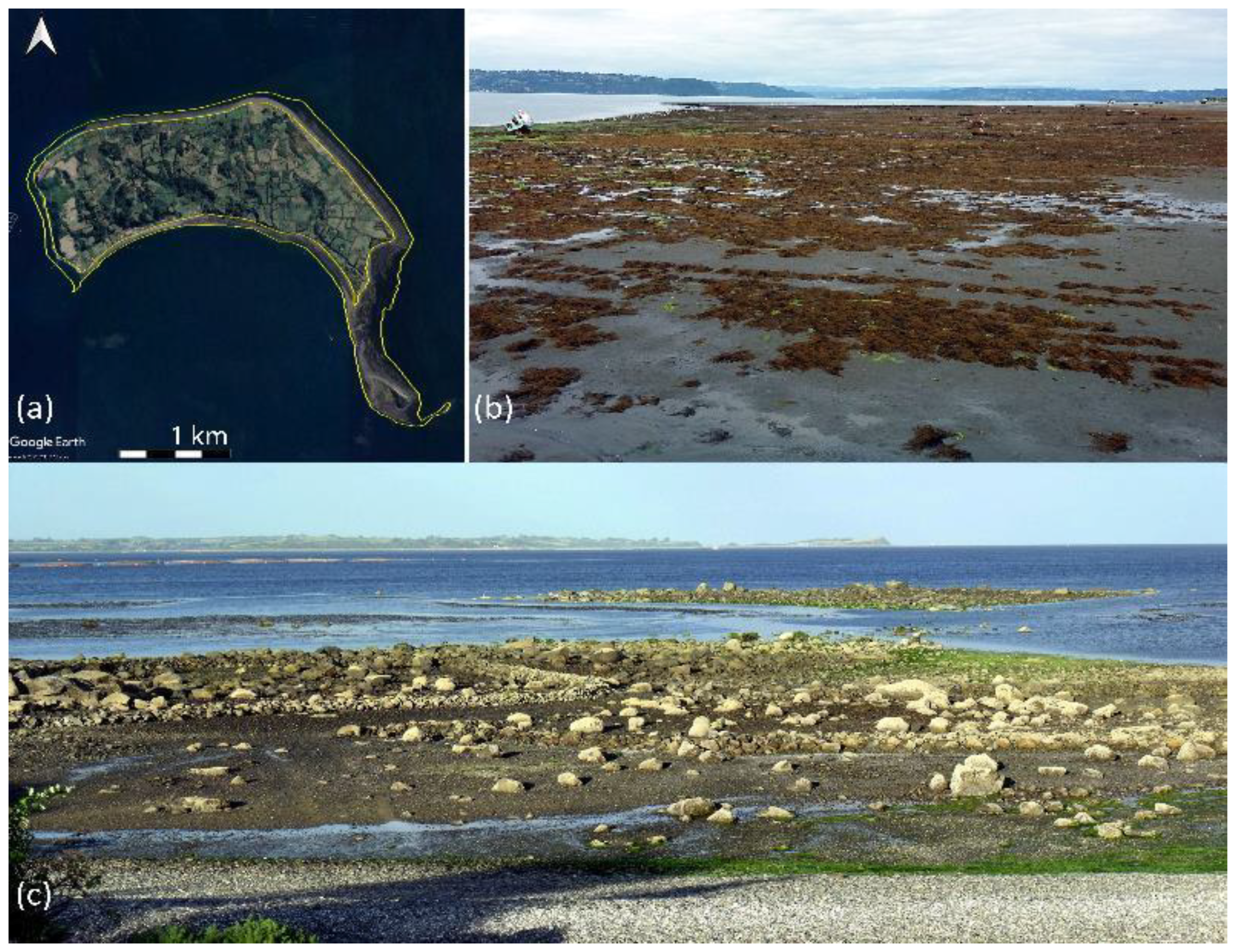 Preprints 182548 g004