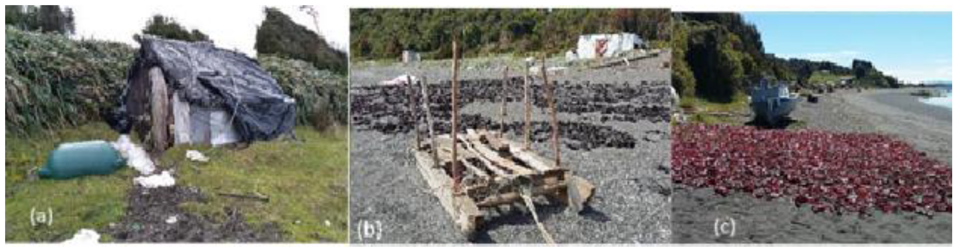 Preprints 182548 g005