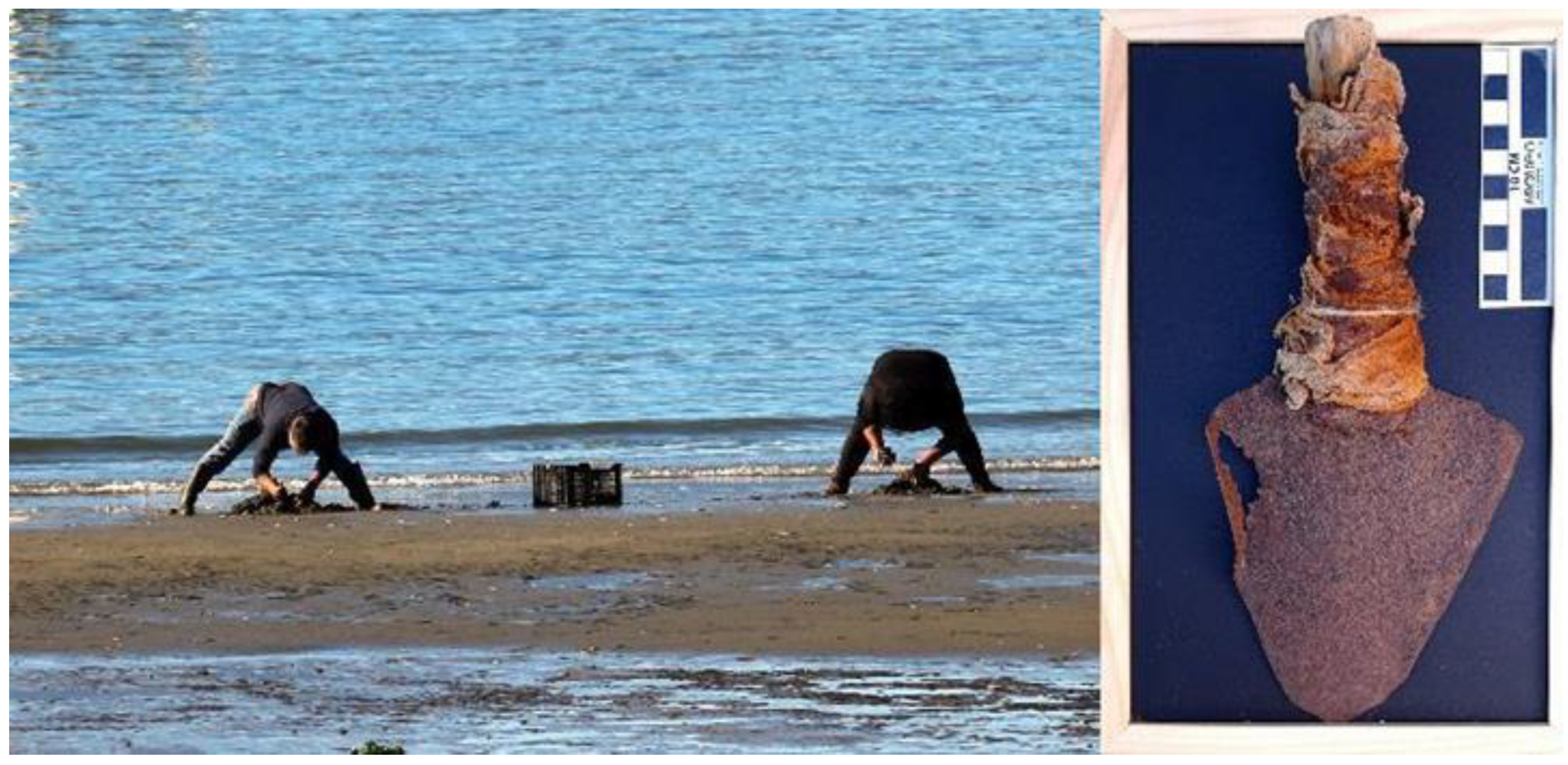 Preprints 182548 g006