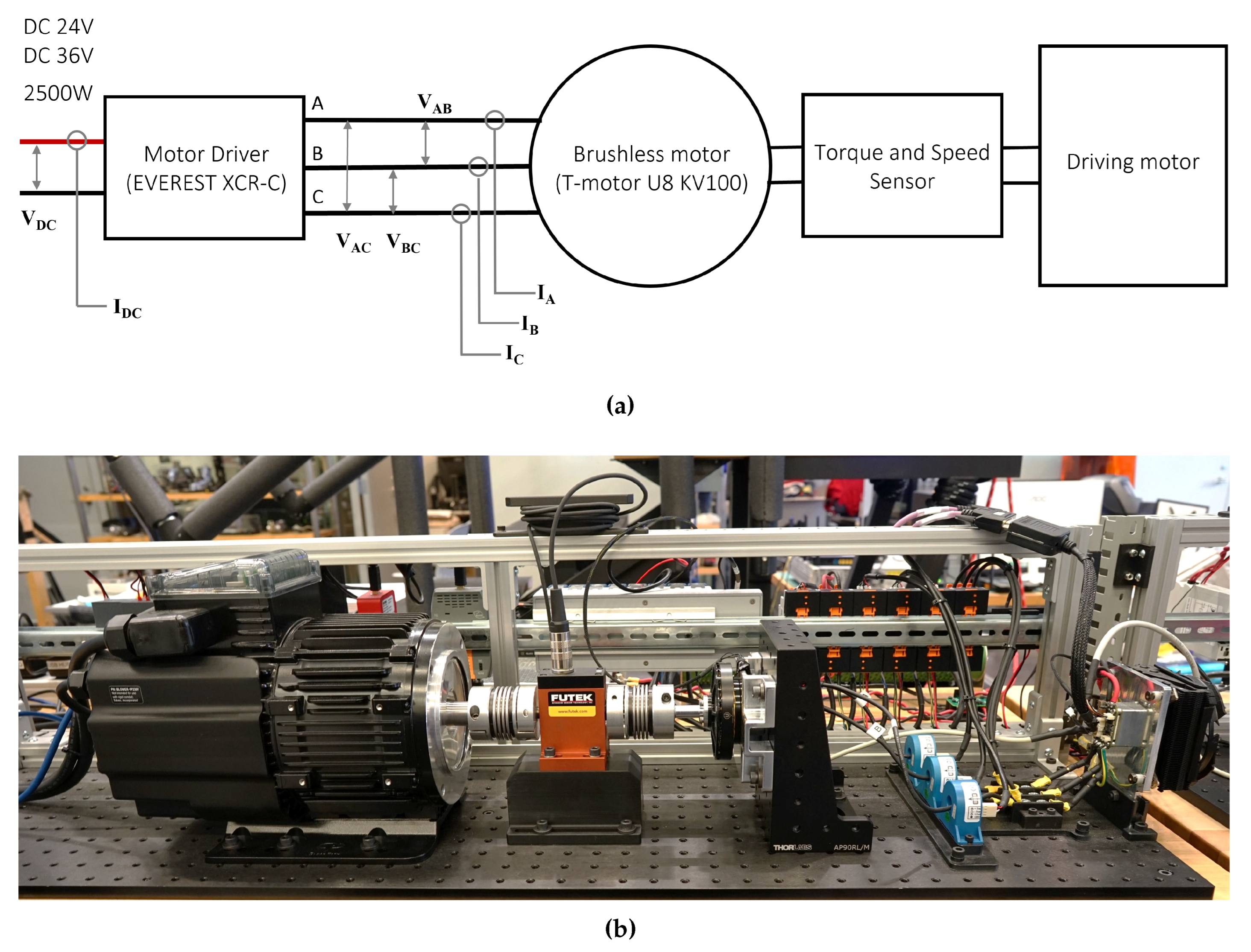 Preprints 80165 g001