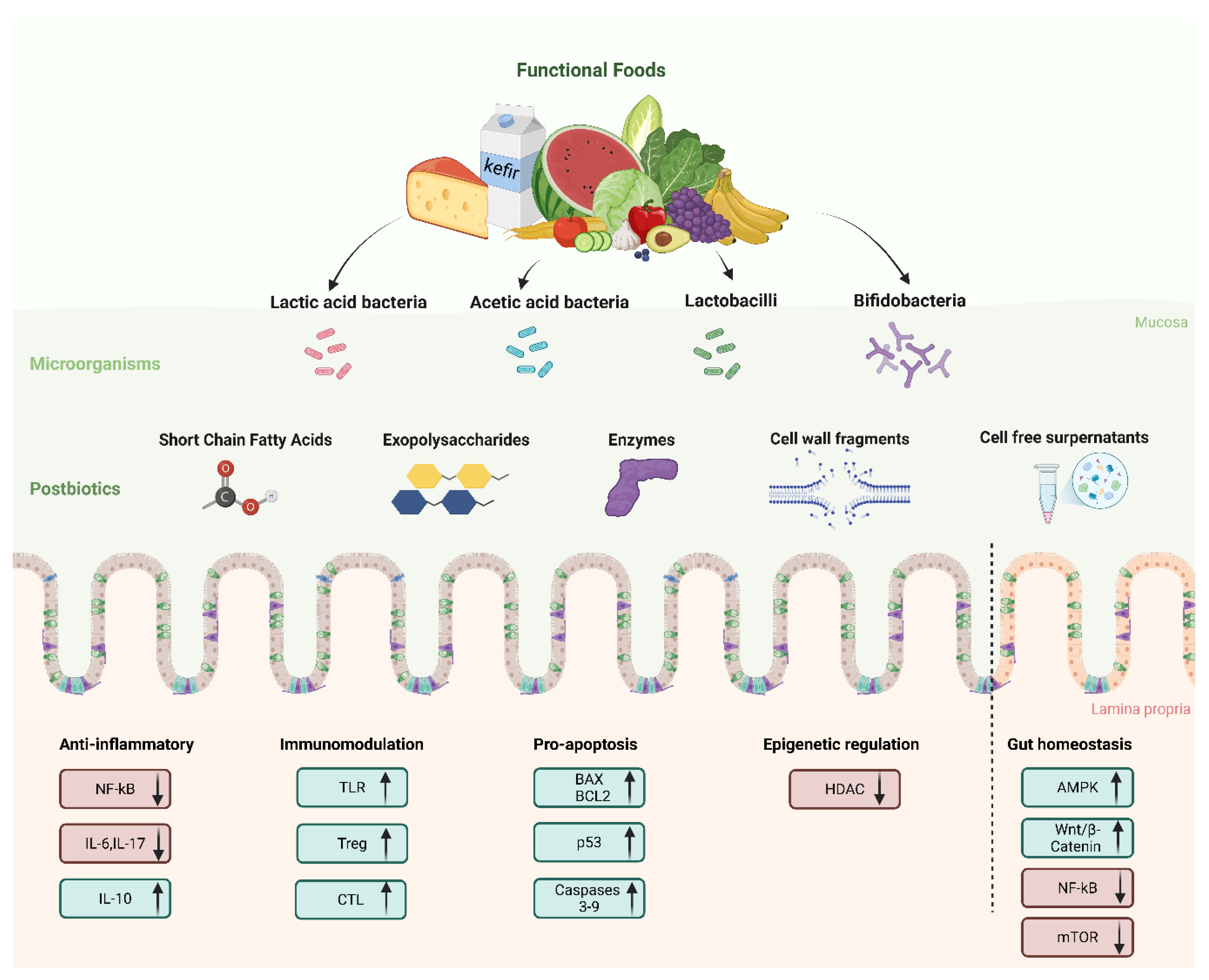 Preprints 158239 g003