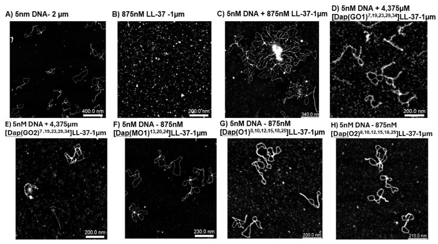 Preprints 215983 g003 Preprints 215983 g003