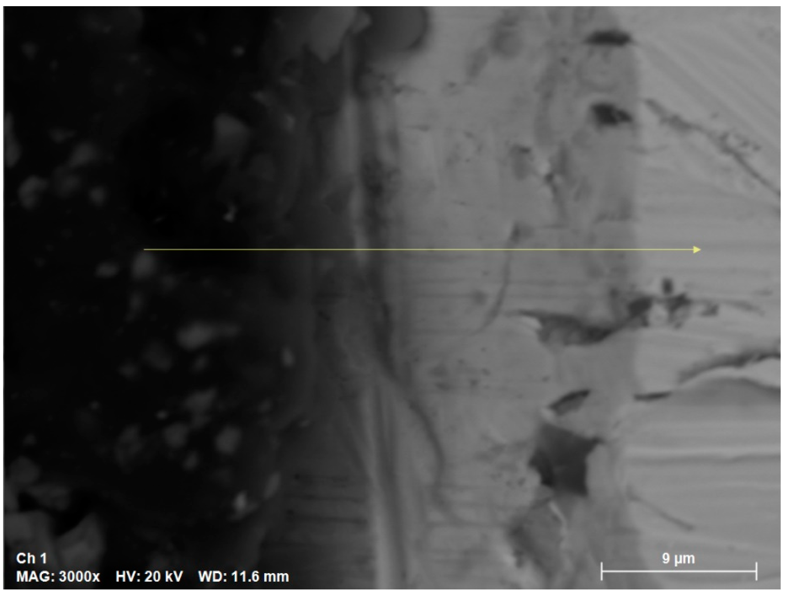 Preprints 143101 g007