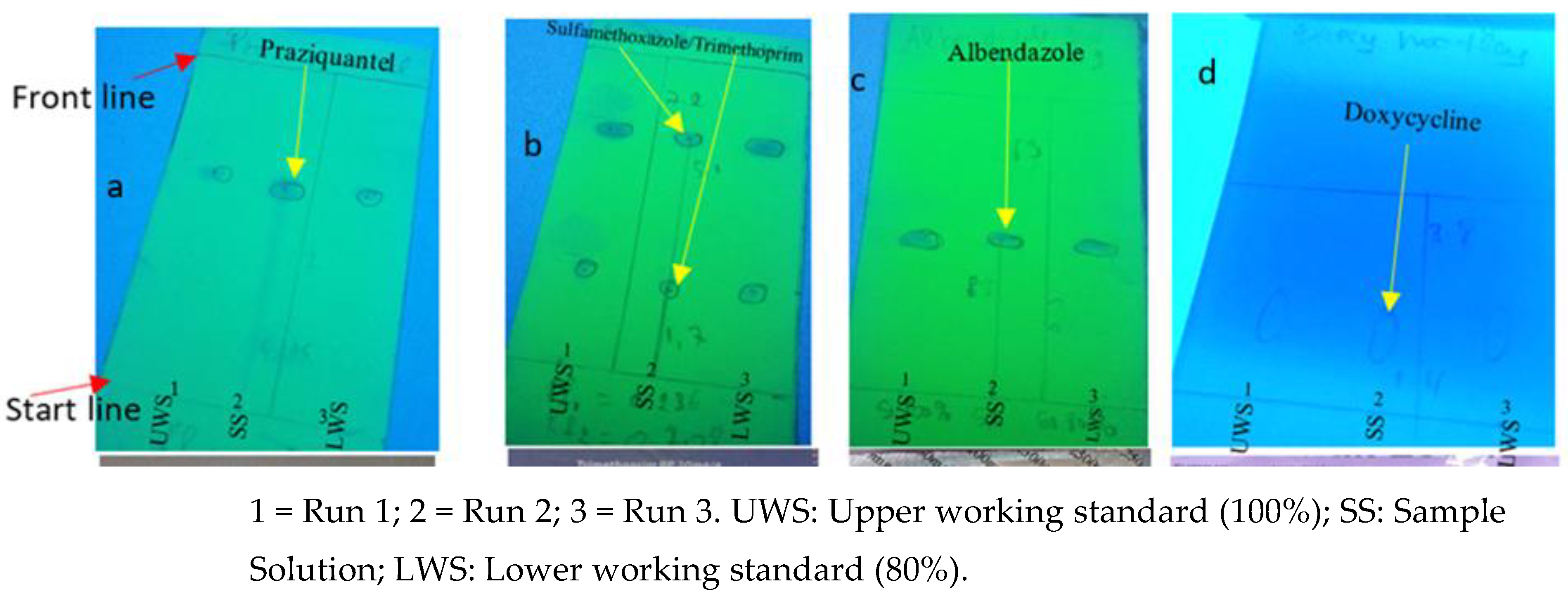Preprints 95955 g002