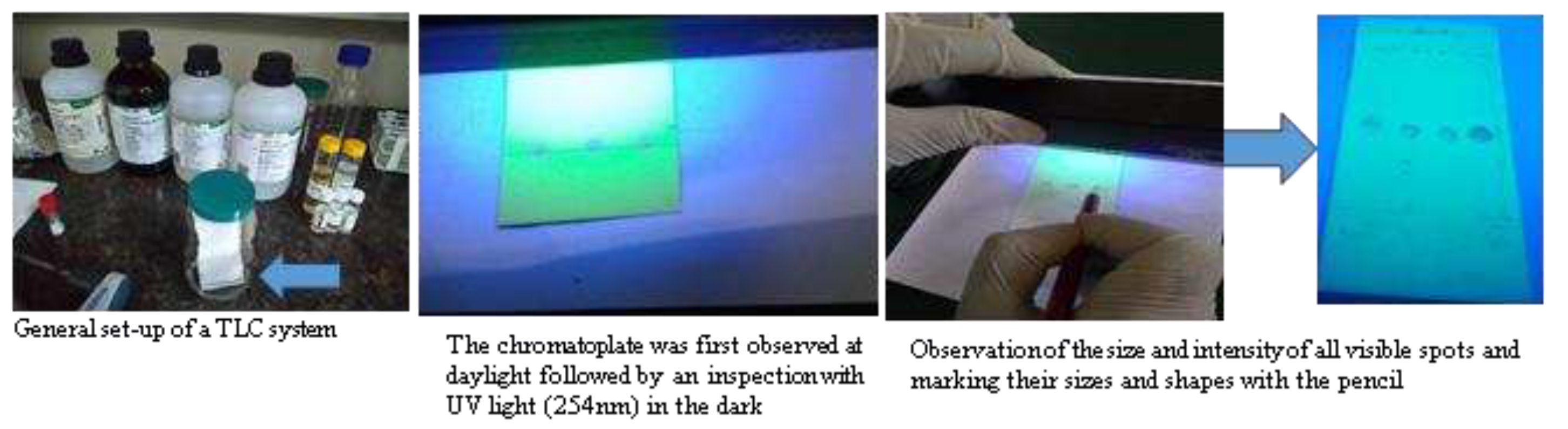 Preprints 95955 g006