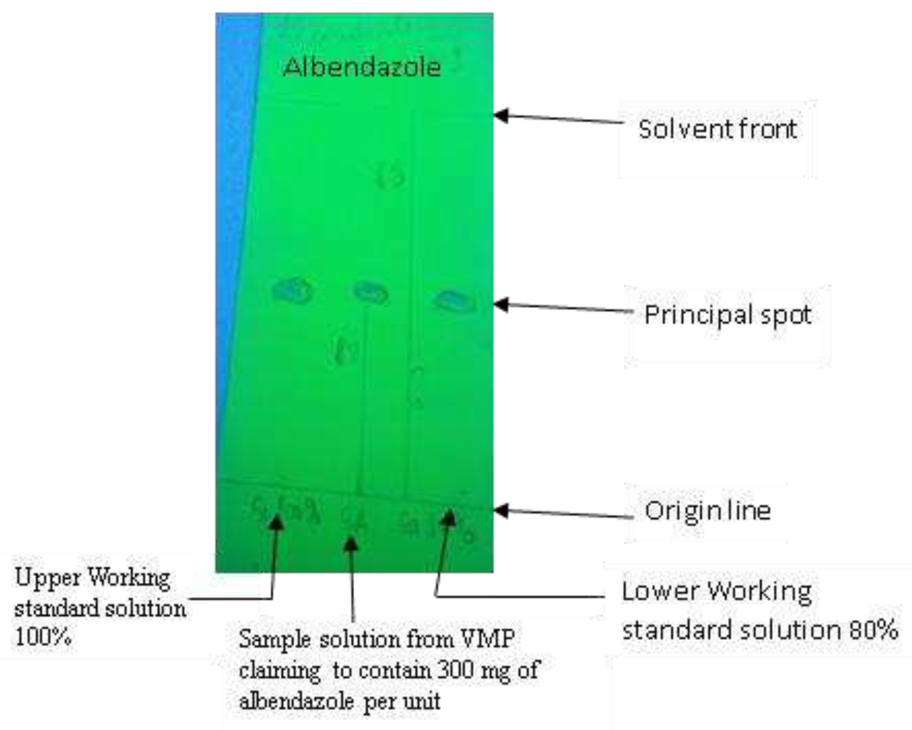 Preprints 95955 g007