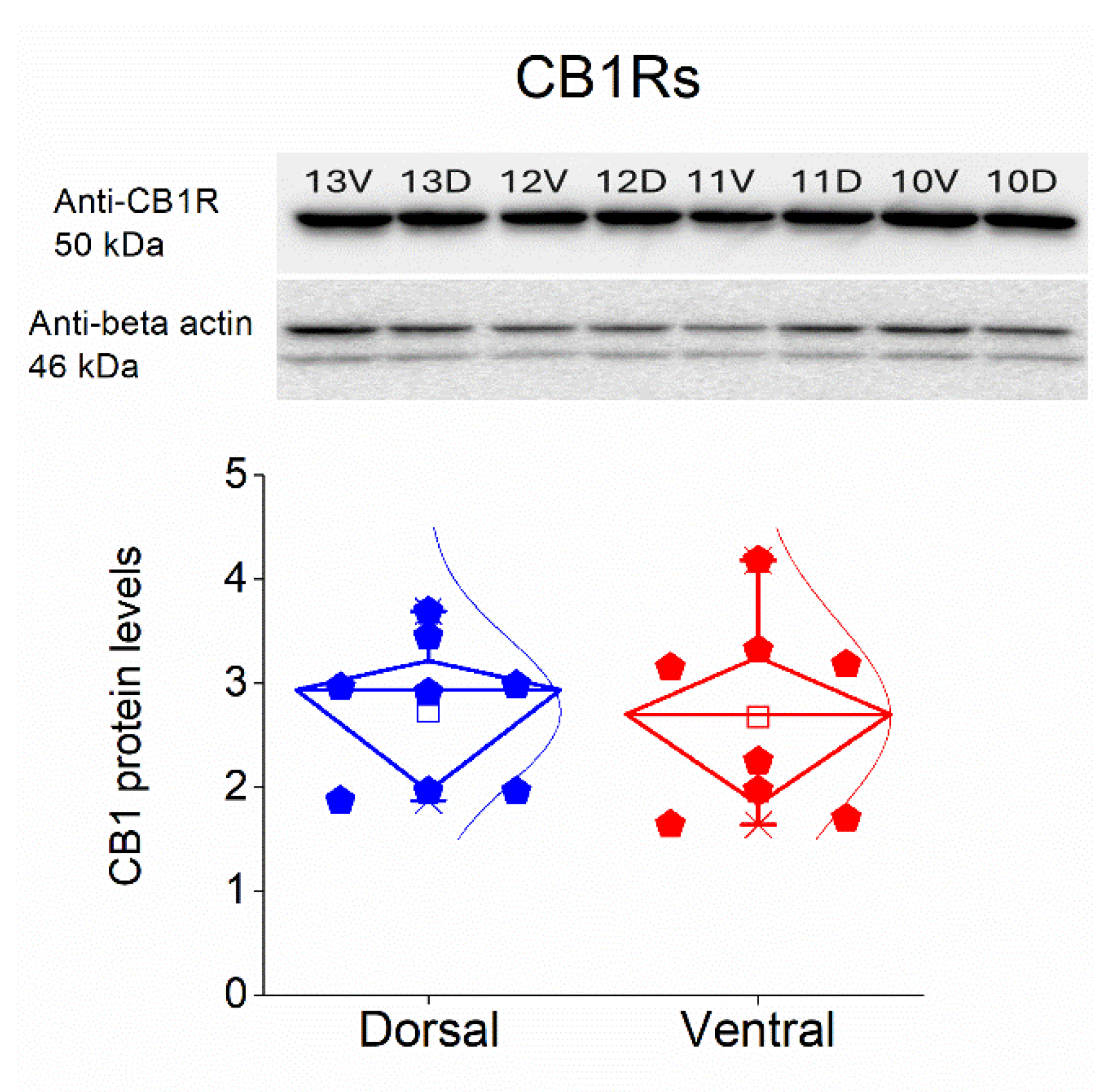 Preprints 208133 g010