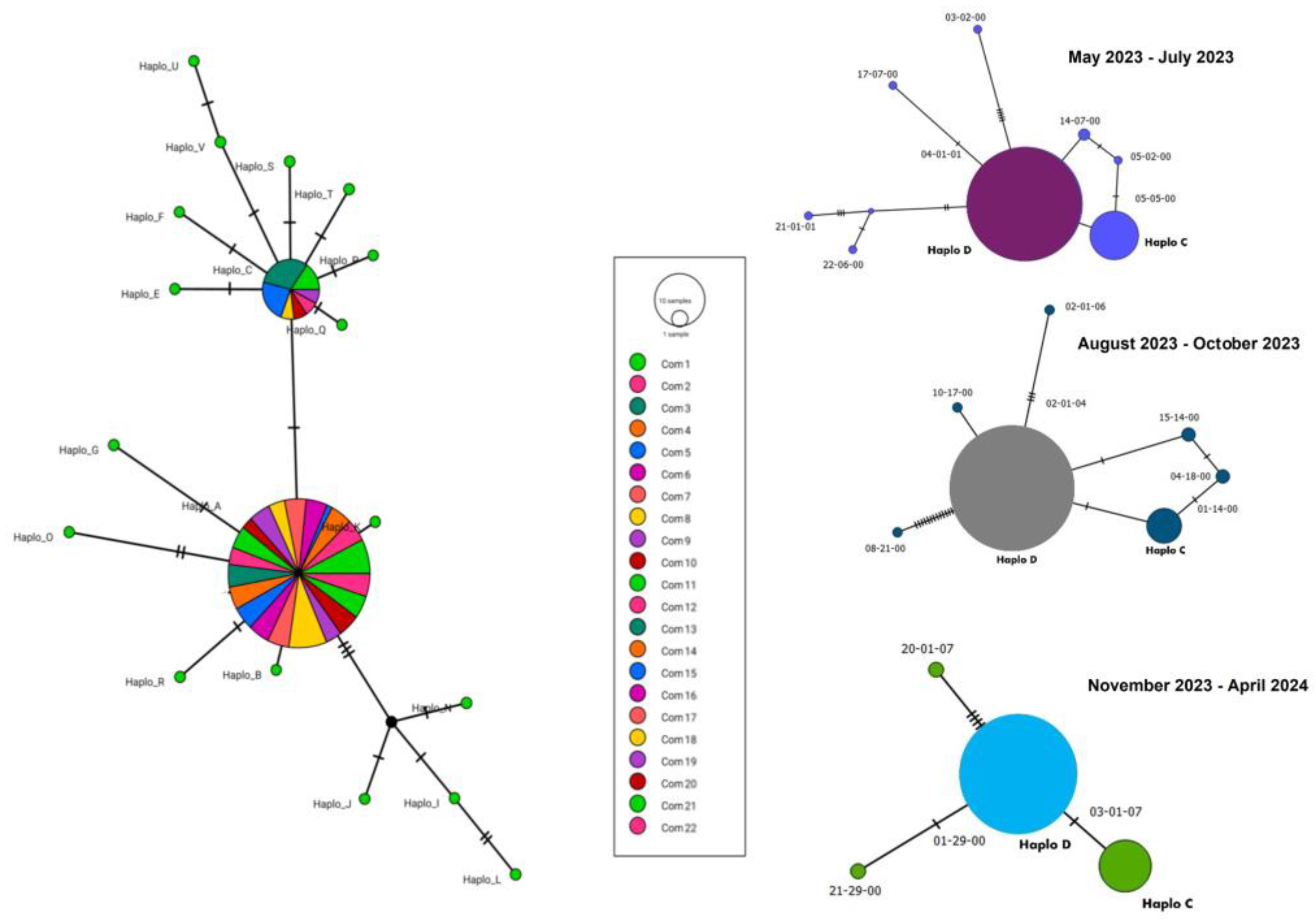 Preprints 141253 g002