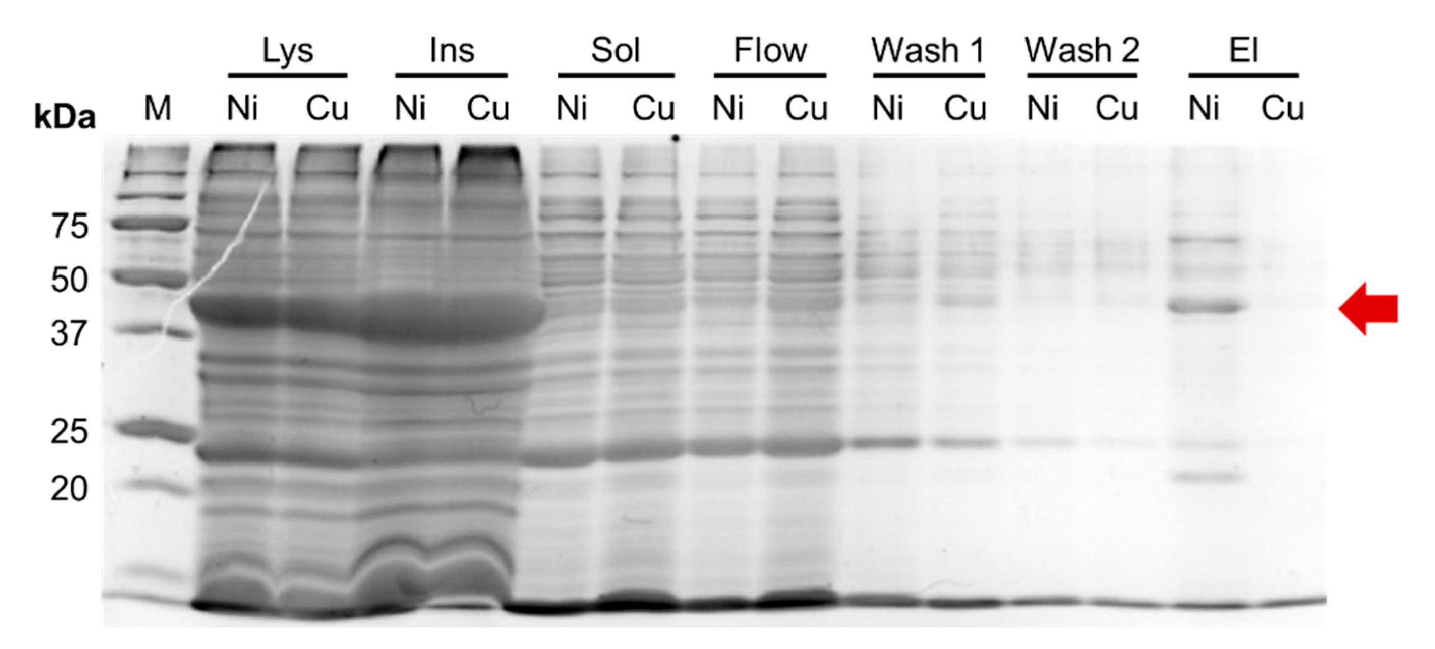Preprints 188931 g002