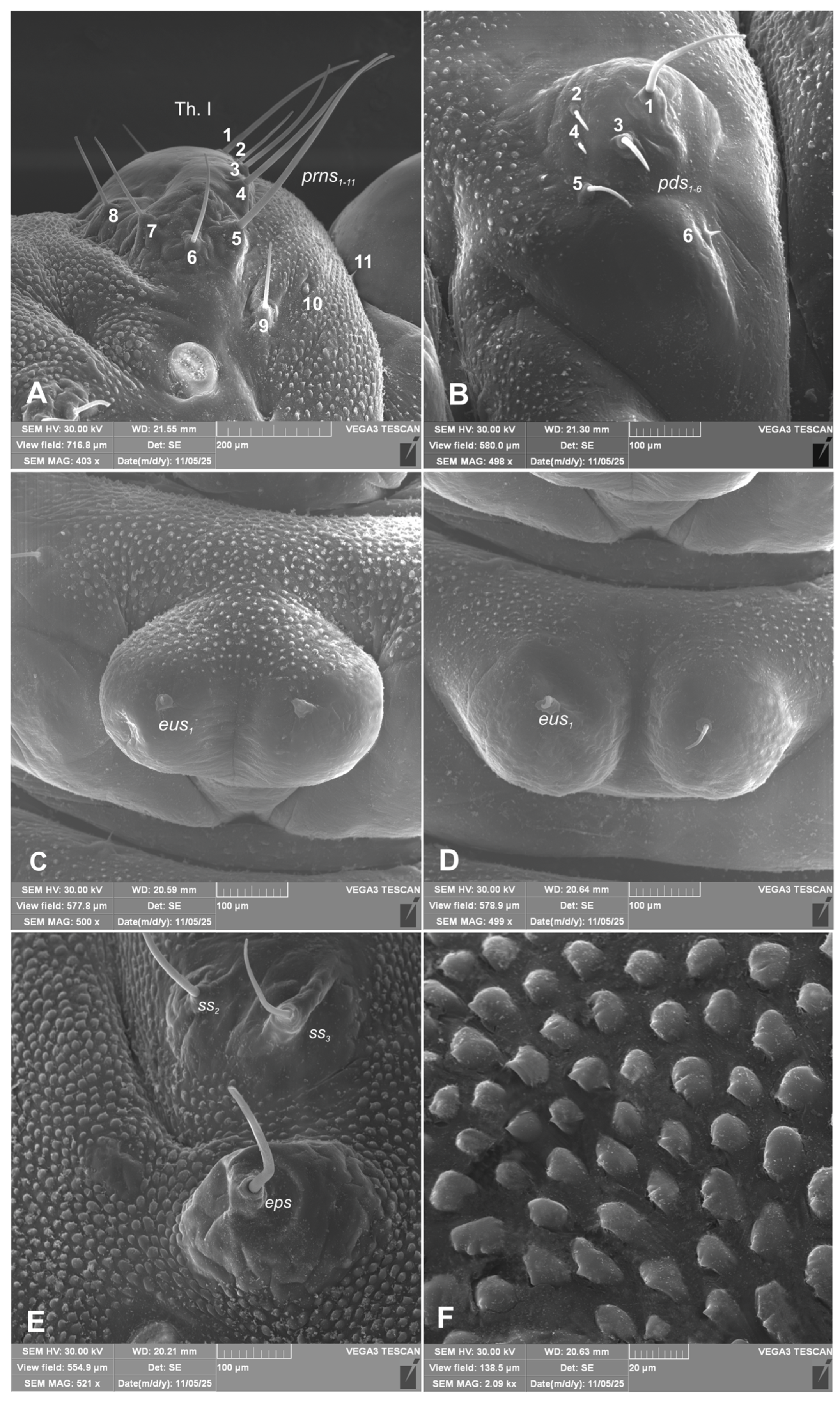 Preprints 196222 g003