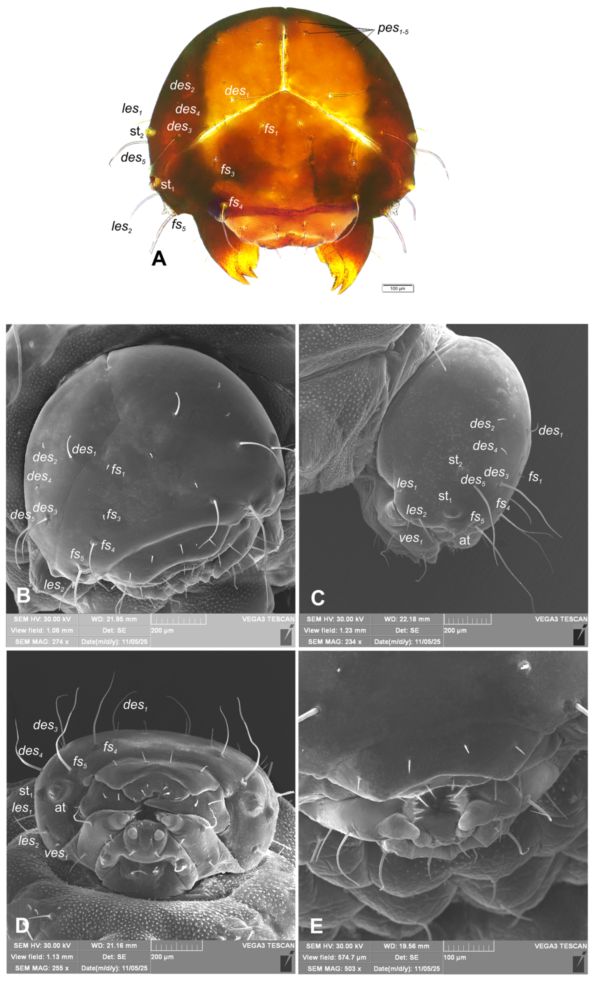 Preprints 196222 g004