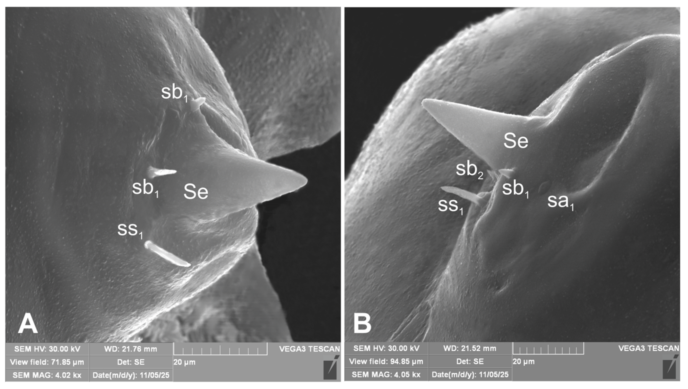 Preprints 196222 g005