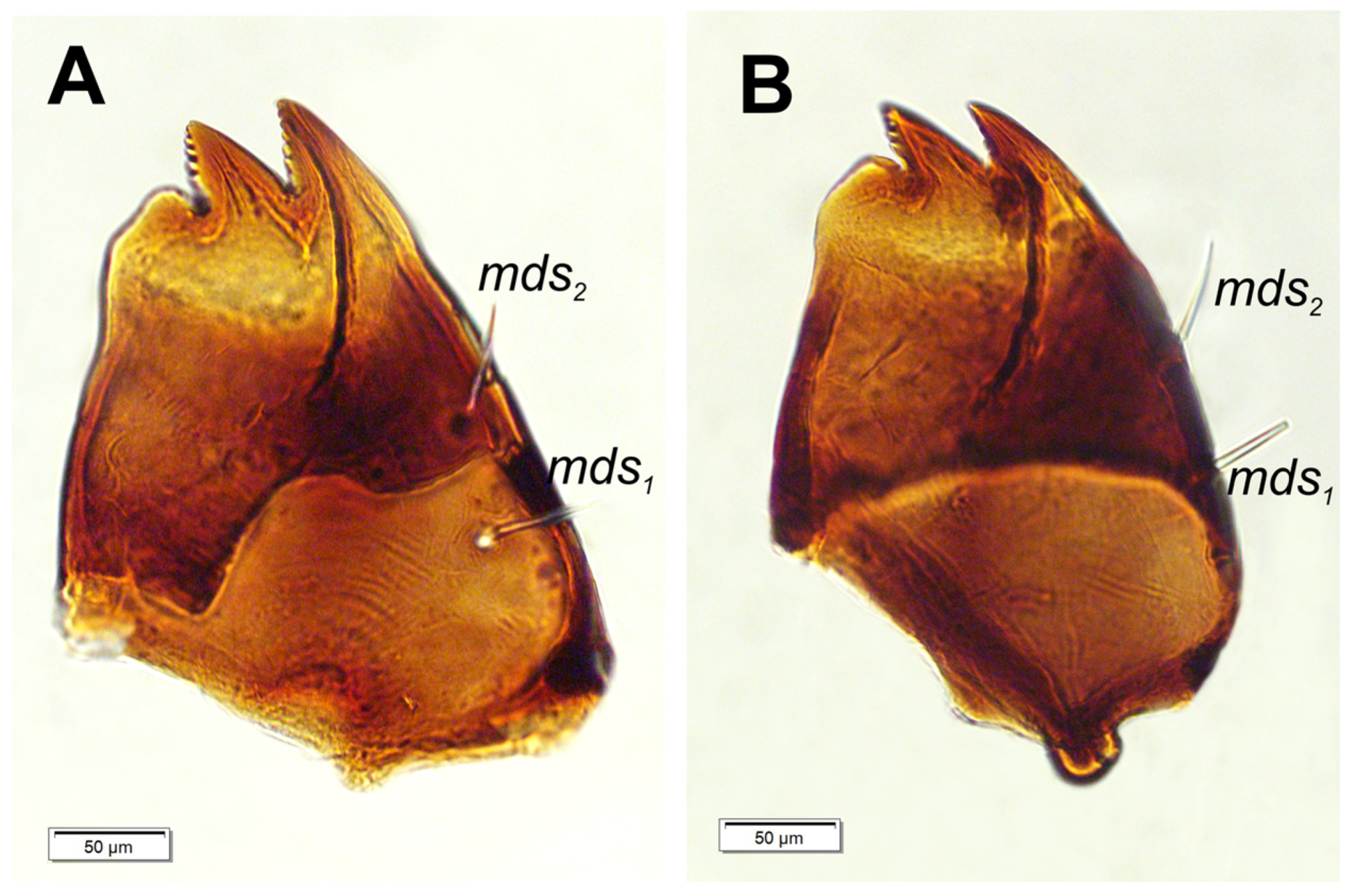 Preprints 196222 g007