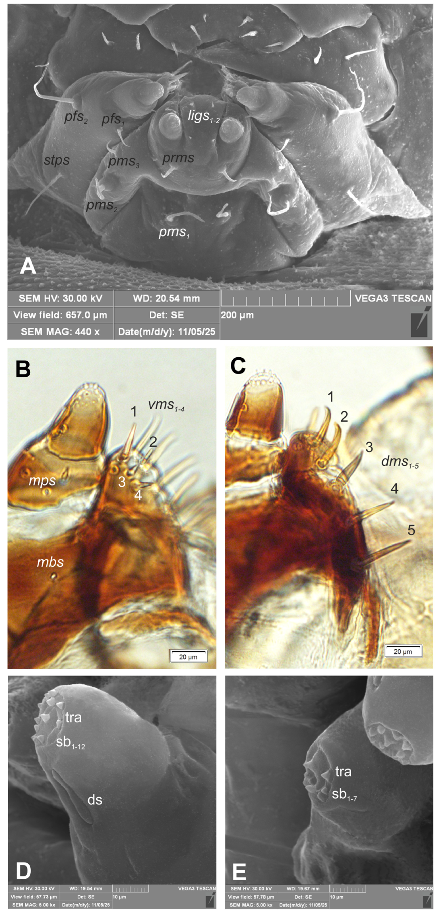 Preprints 196222 g008