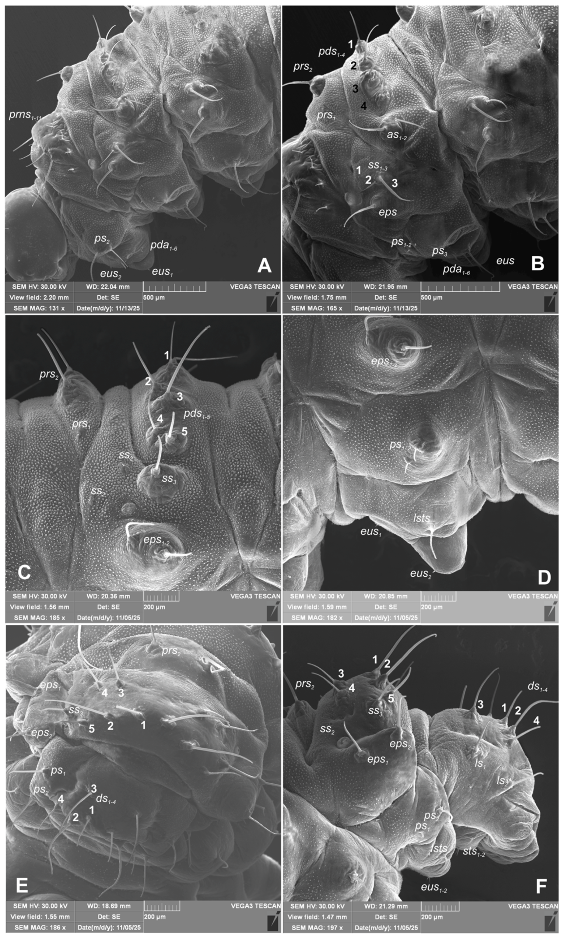 Preprints 196222 g009