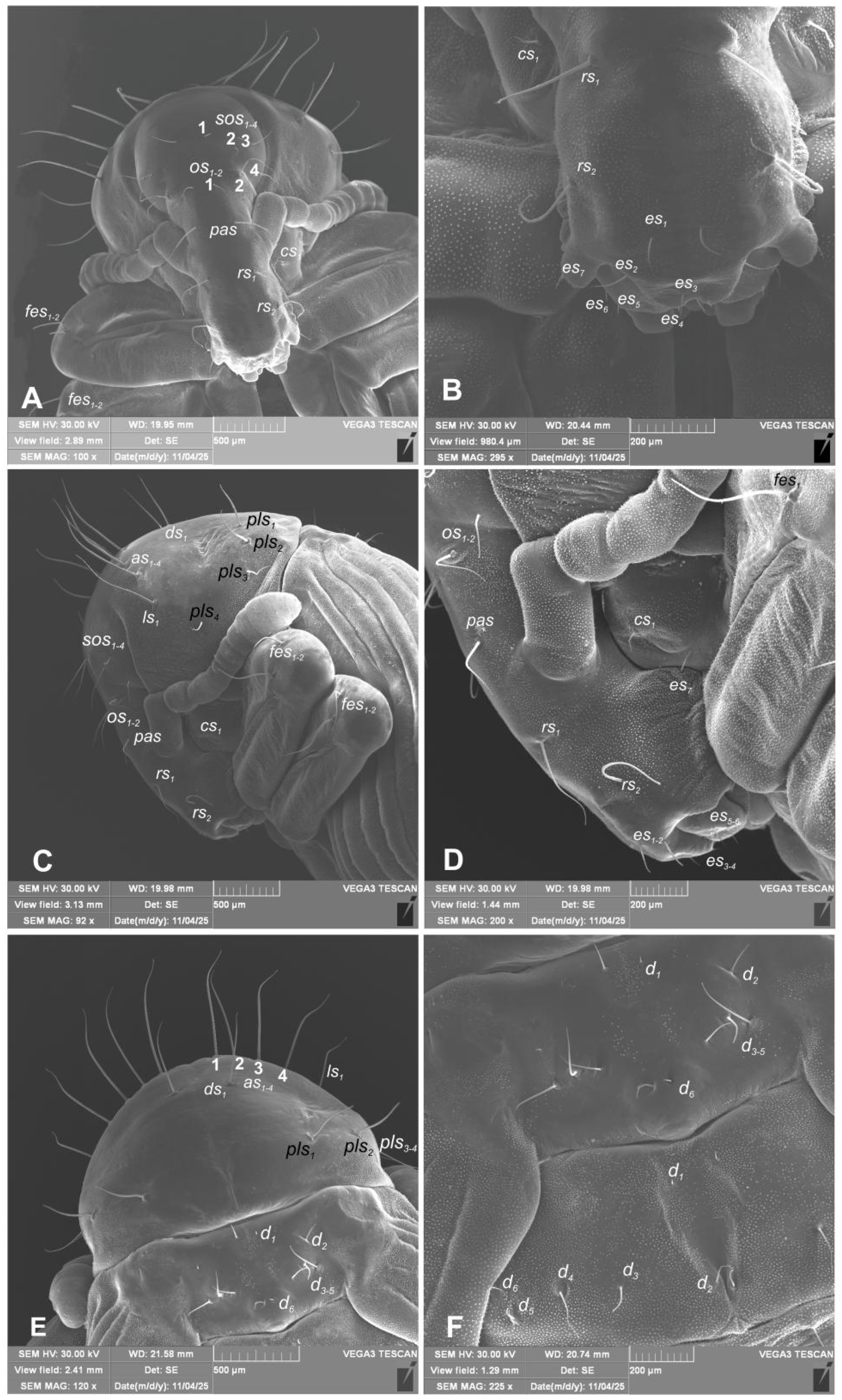 Preprints 196222 g011