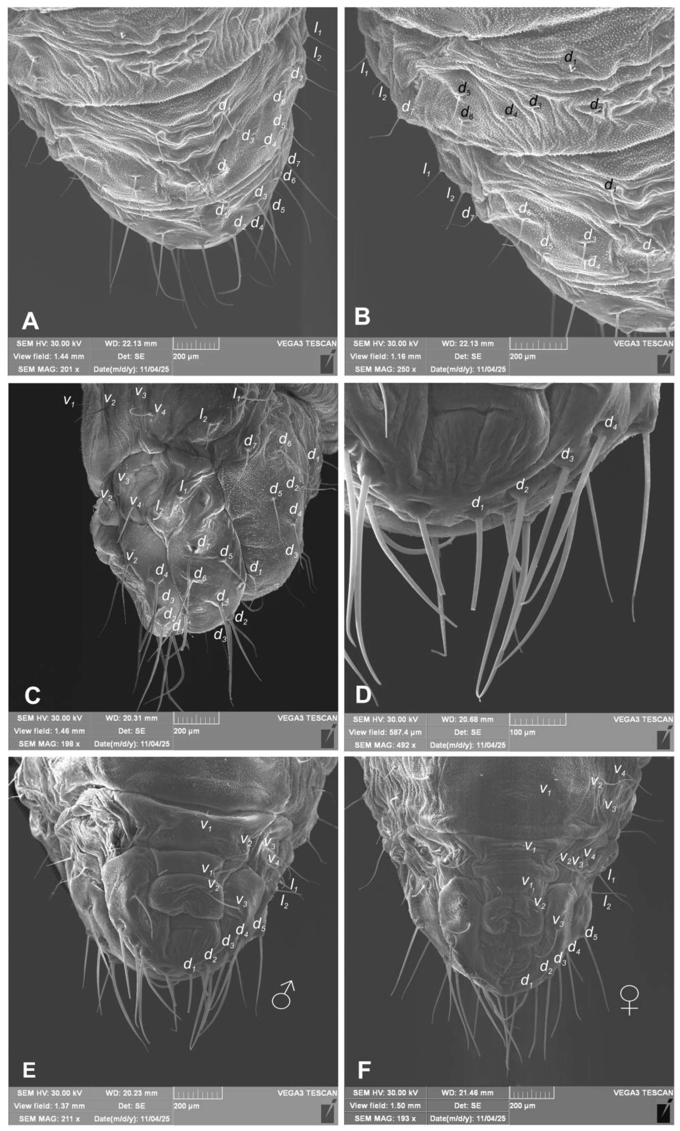 Preprints 196222 g012