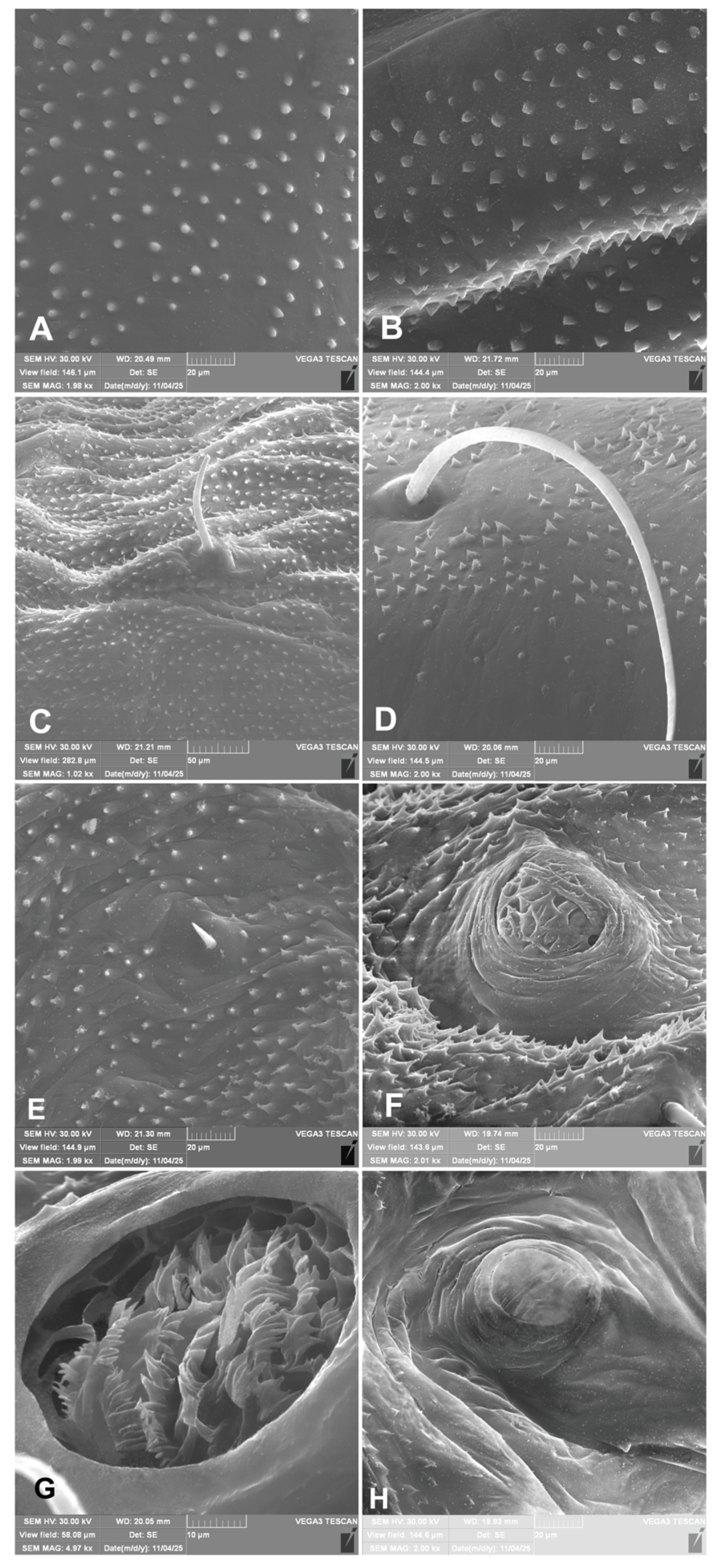 Preprints 196222 g013