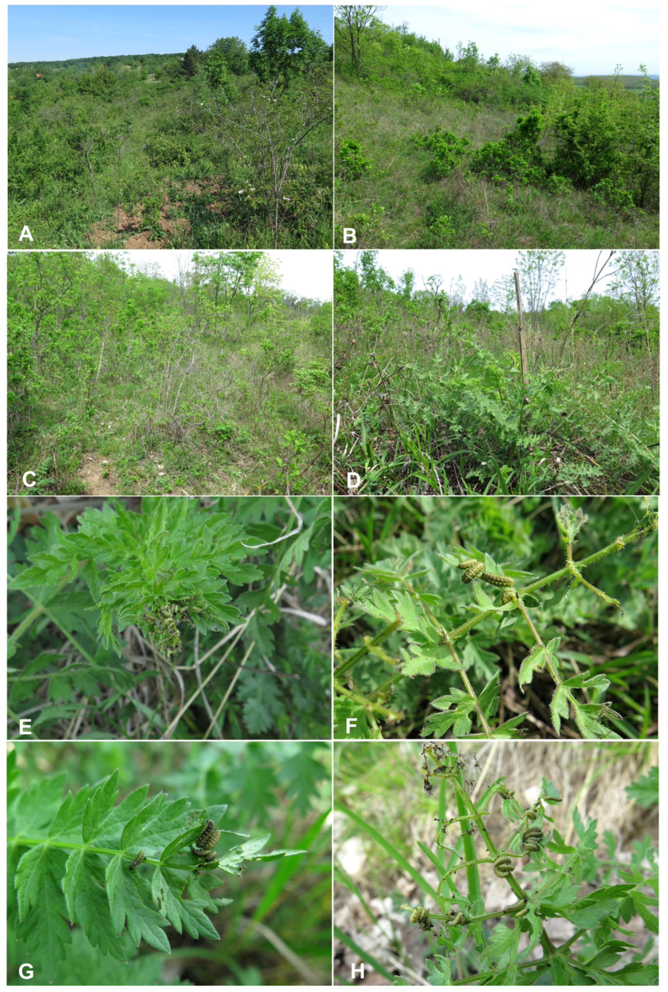 Preprints 196222 g014