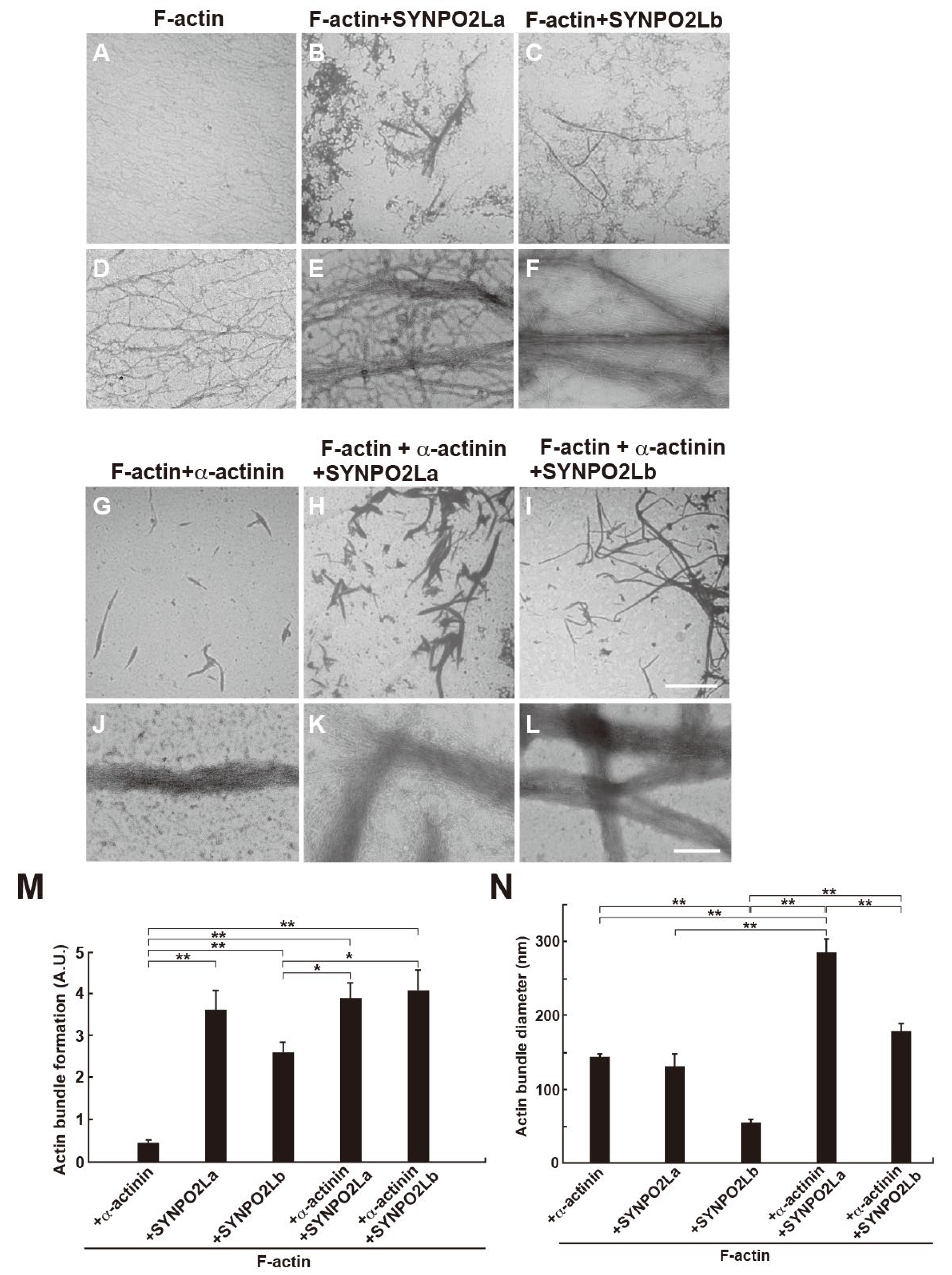 Preprints 113620 g003