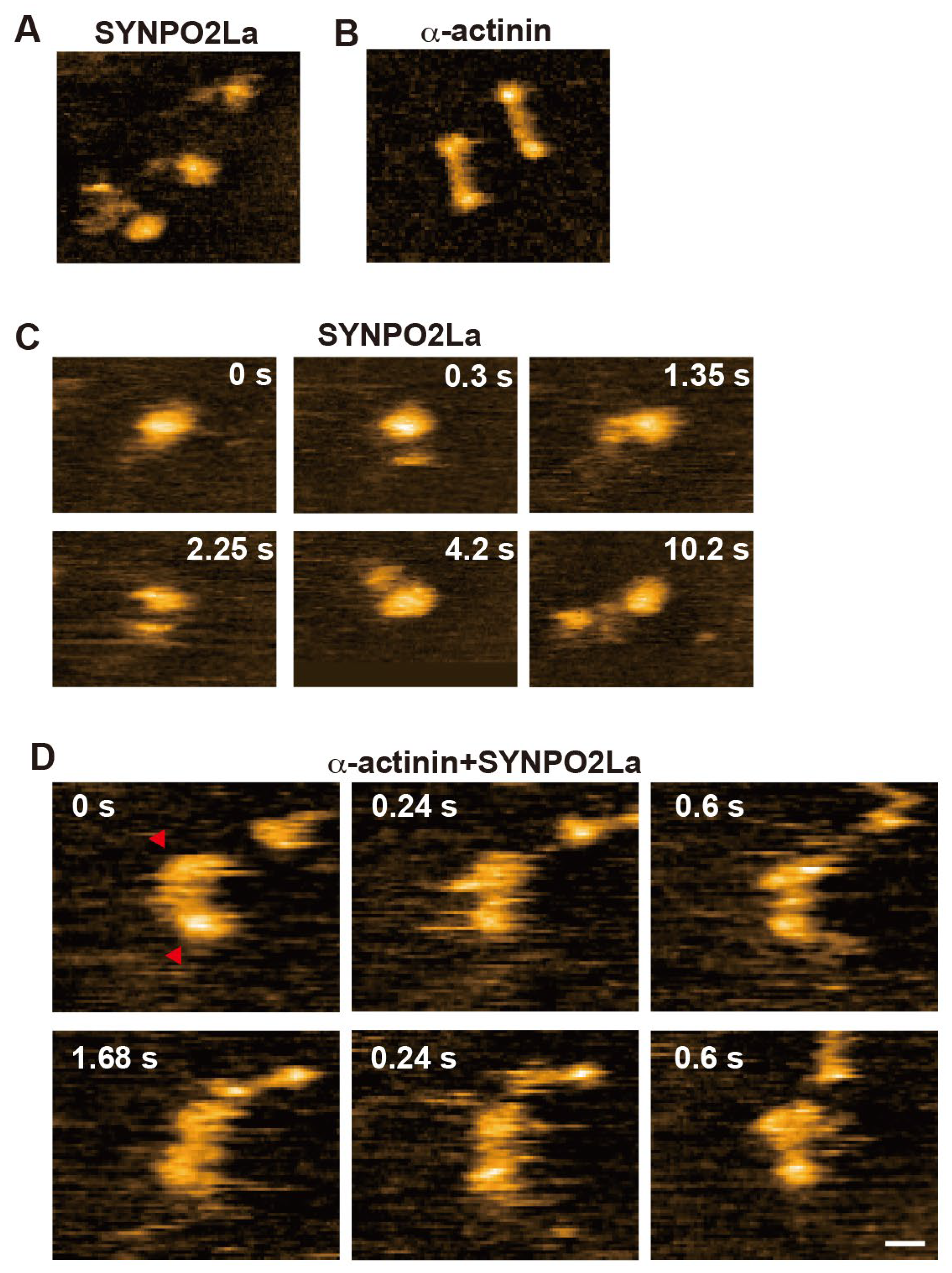 Preprints 113620 g004