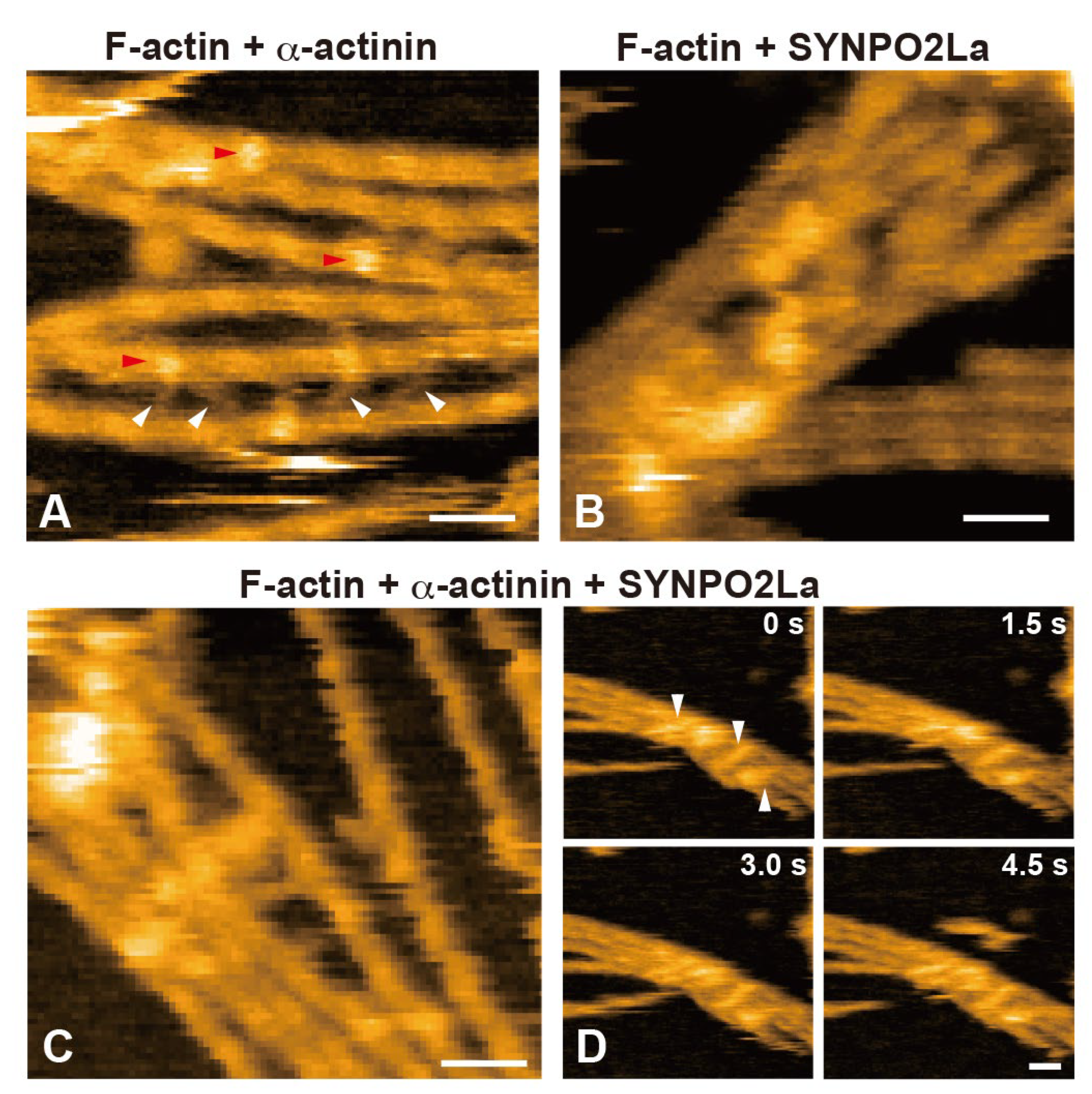 Preprints 113620 g005