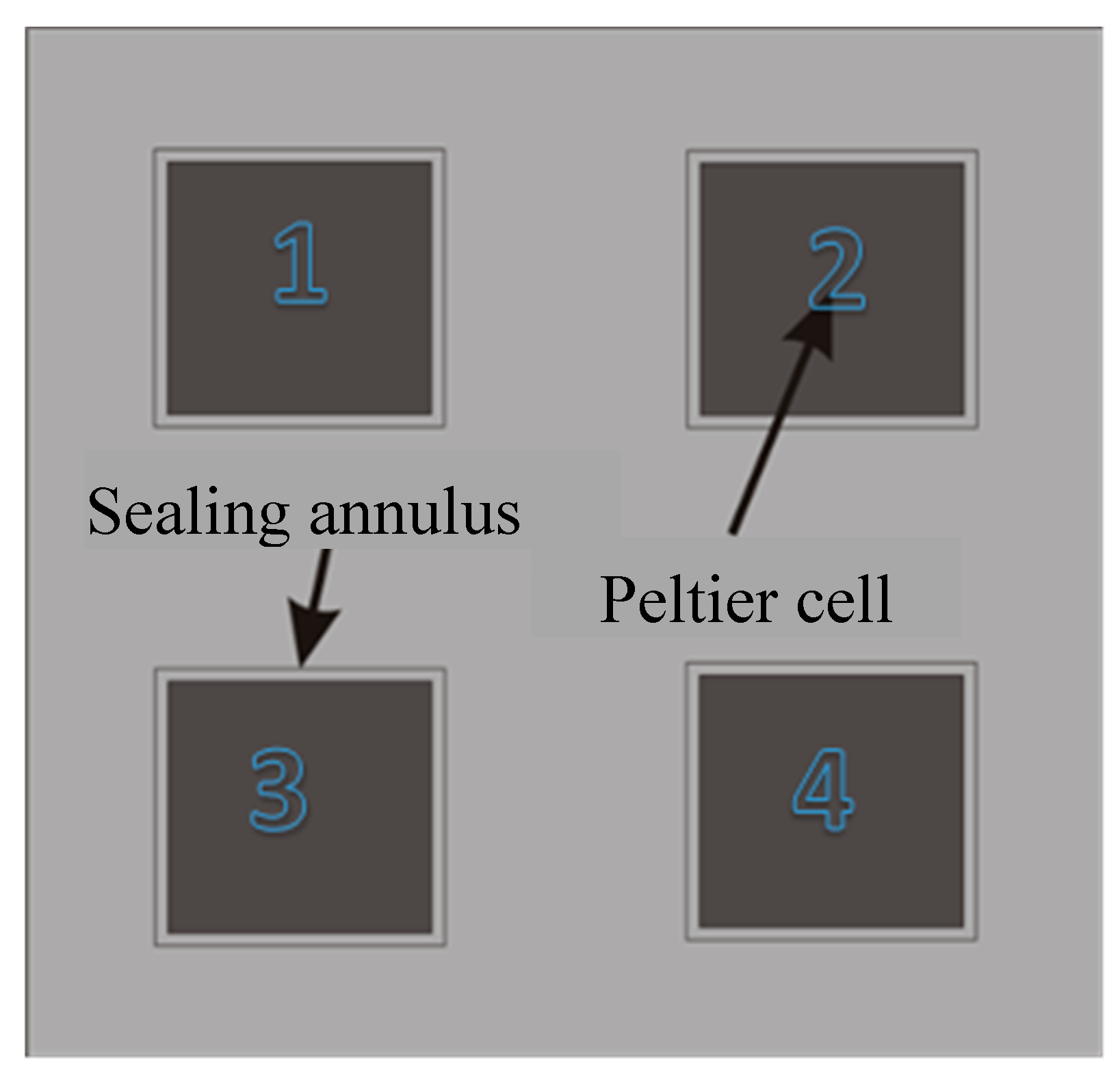 Preprints 94529 g004