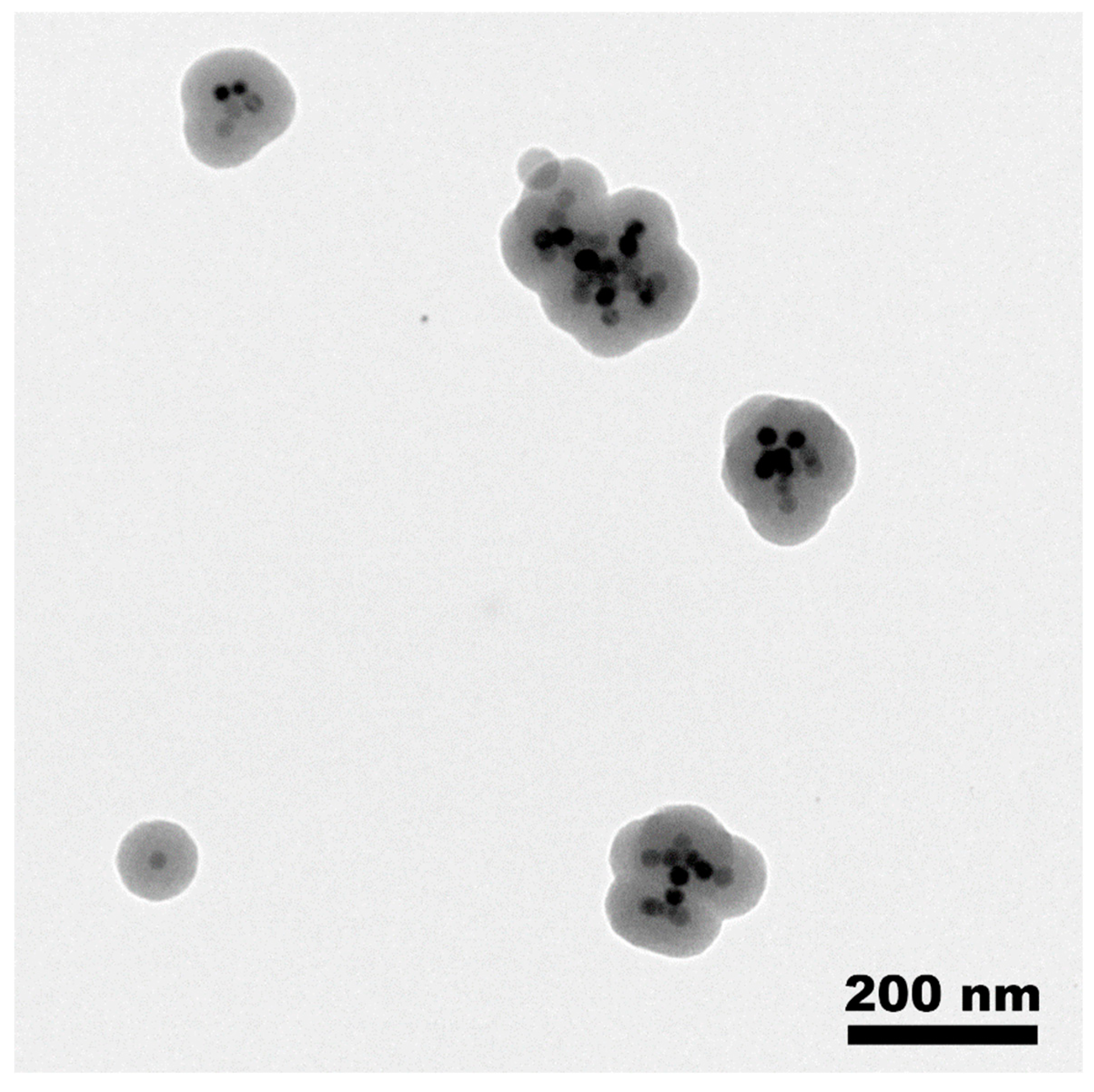 Preprints 88475 g003