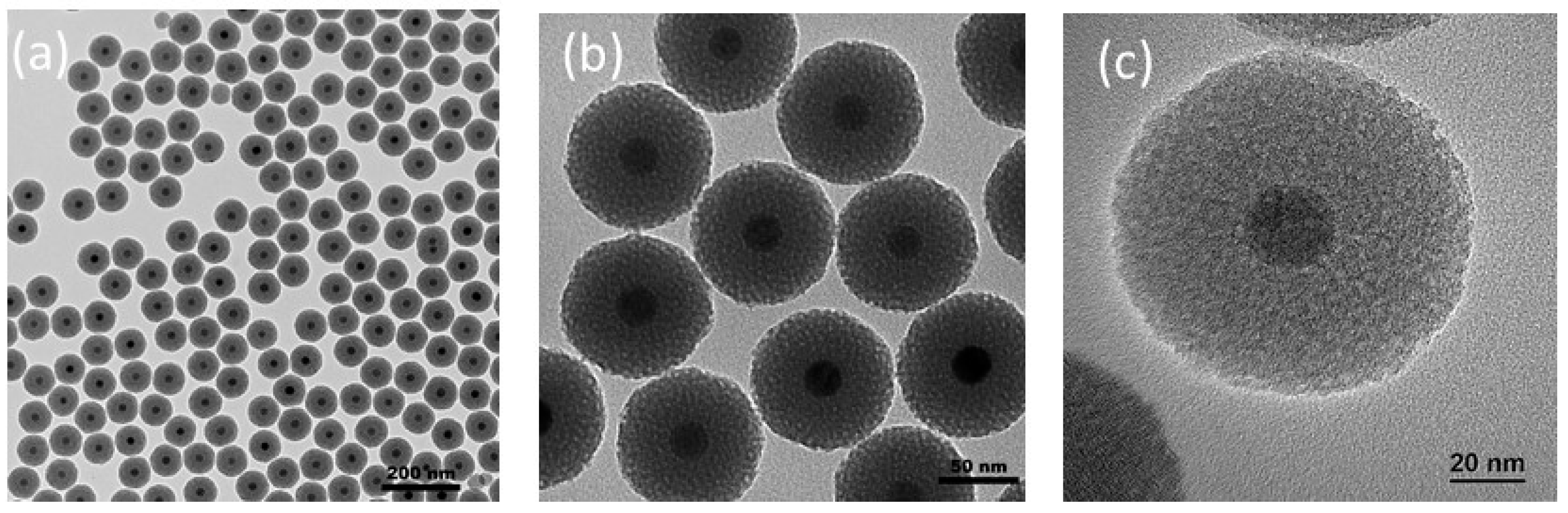 Preprints 88475 g004