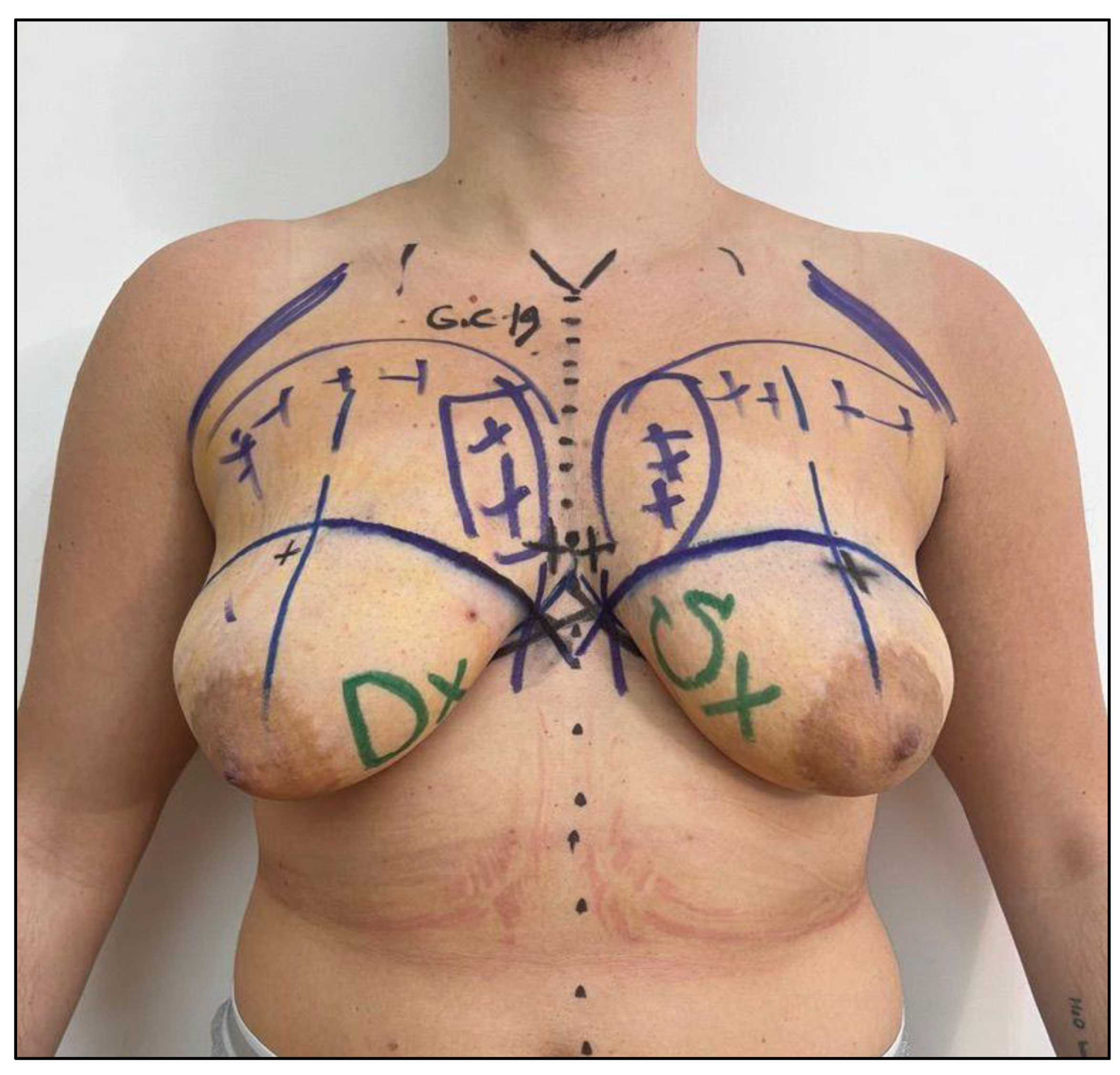 Preprints 166444 g002